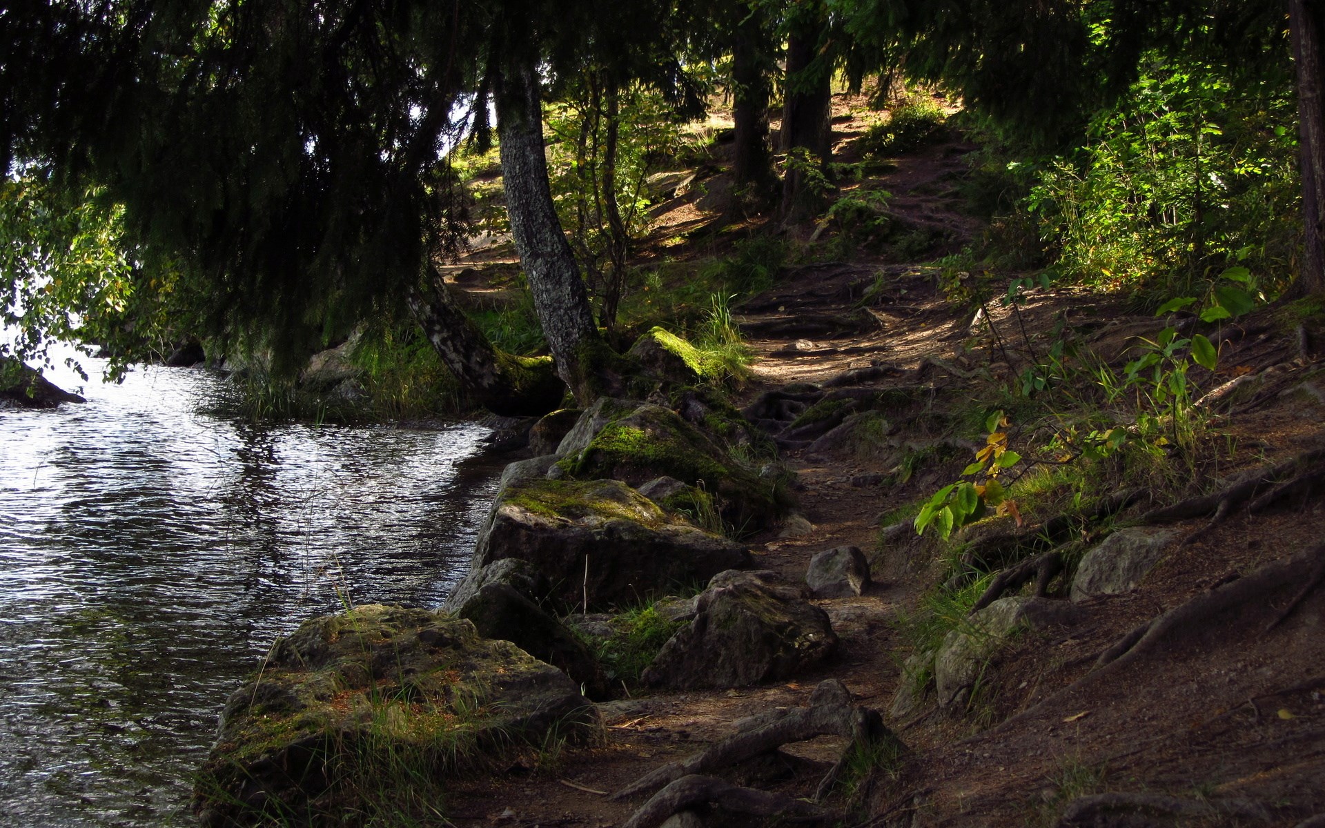 Forest path along a lake with rocks and trees HD Wallpaper