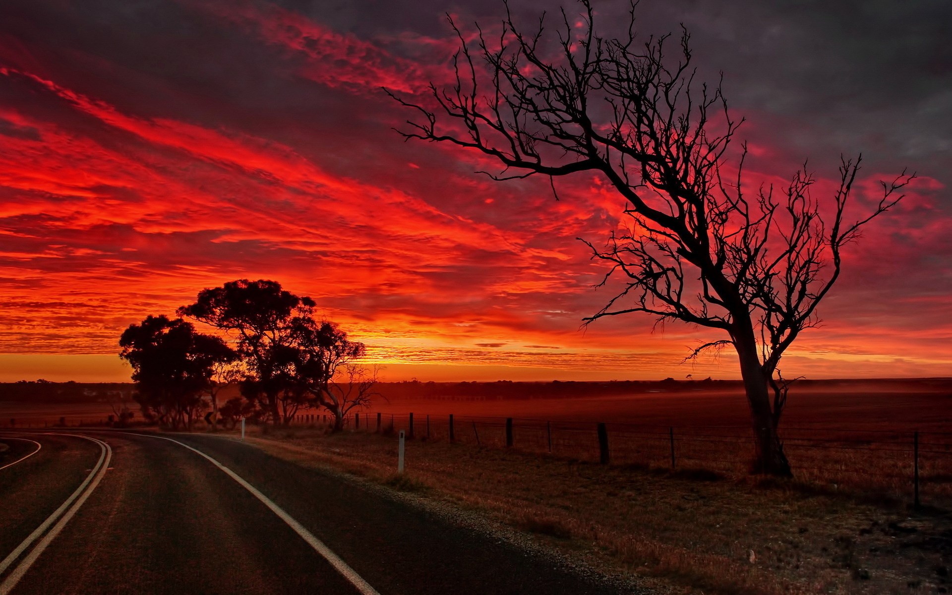 Road at sunset with silhouetted trees HD Wallpaper