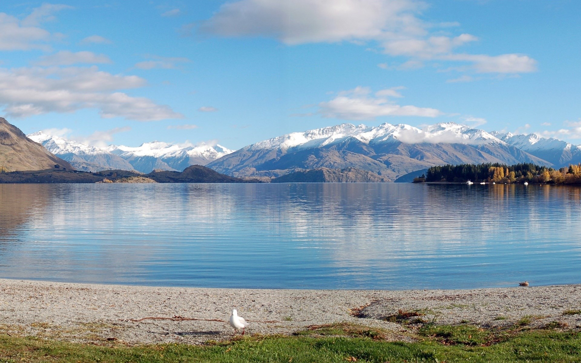 Snow-capped mountains reflected in a calm lake with a bird on the shore HD Wallpaper