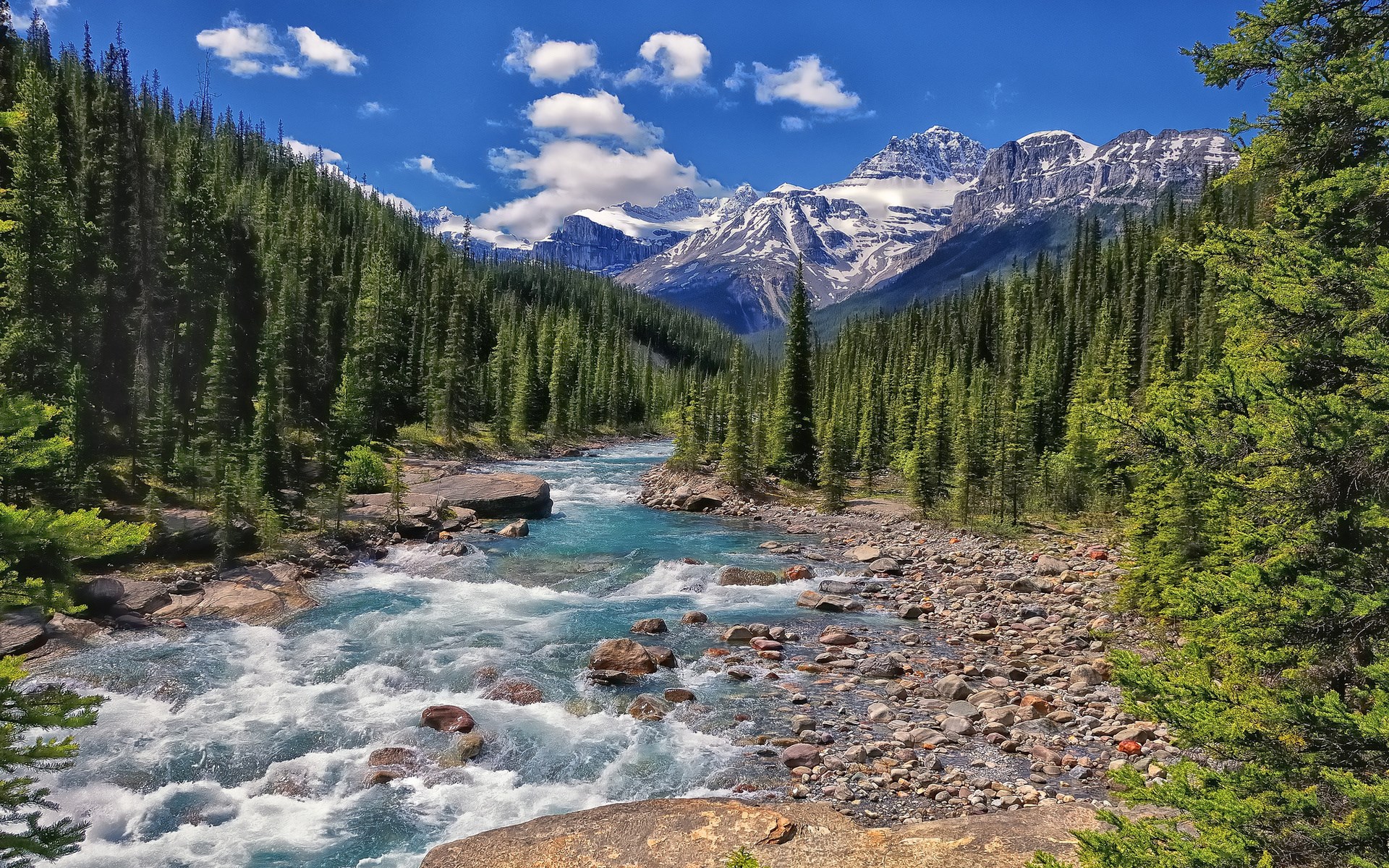 River flowing through a forest with snow-capped mountains HD Wallpaper