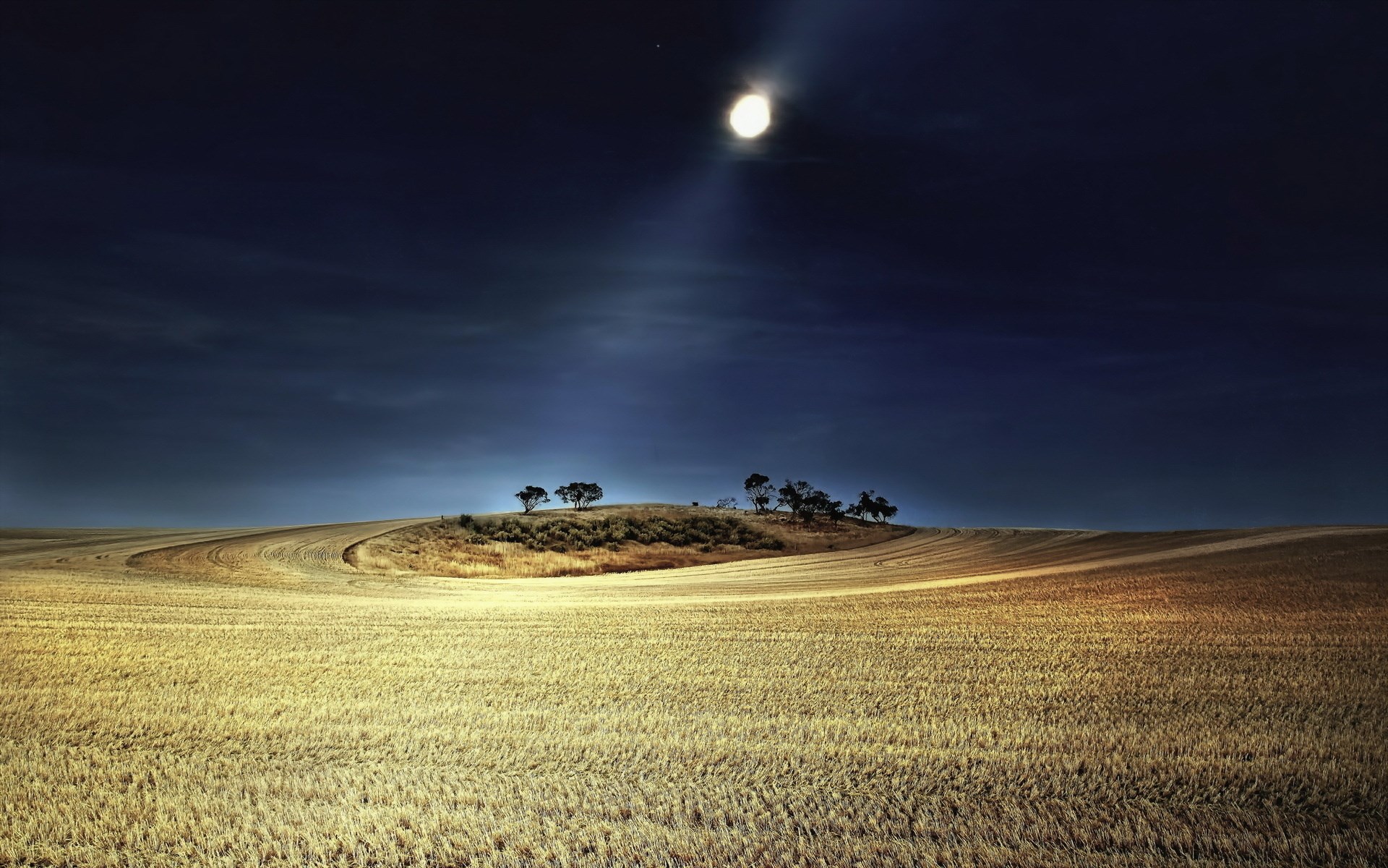 Moonlit field with trees on a hill HD Wallpaper