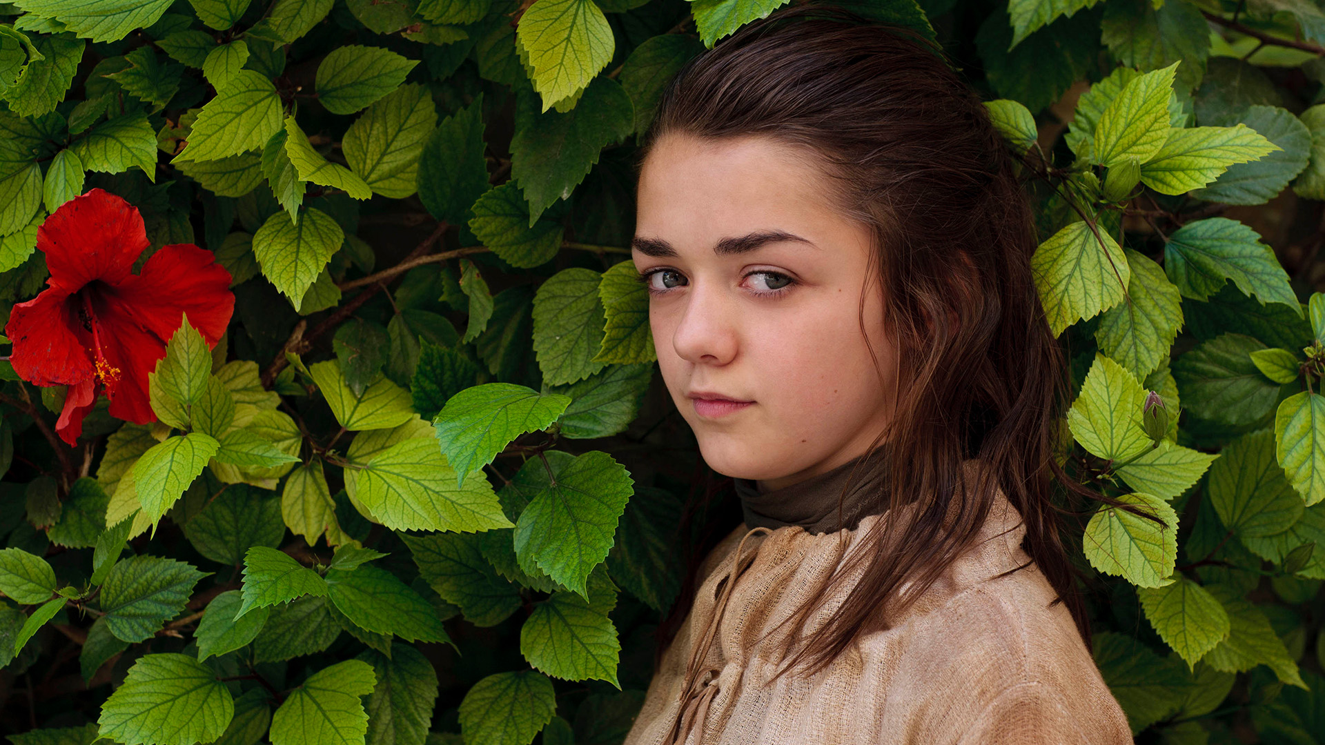 Maisie Williams HD Wallpaper