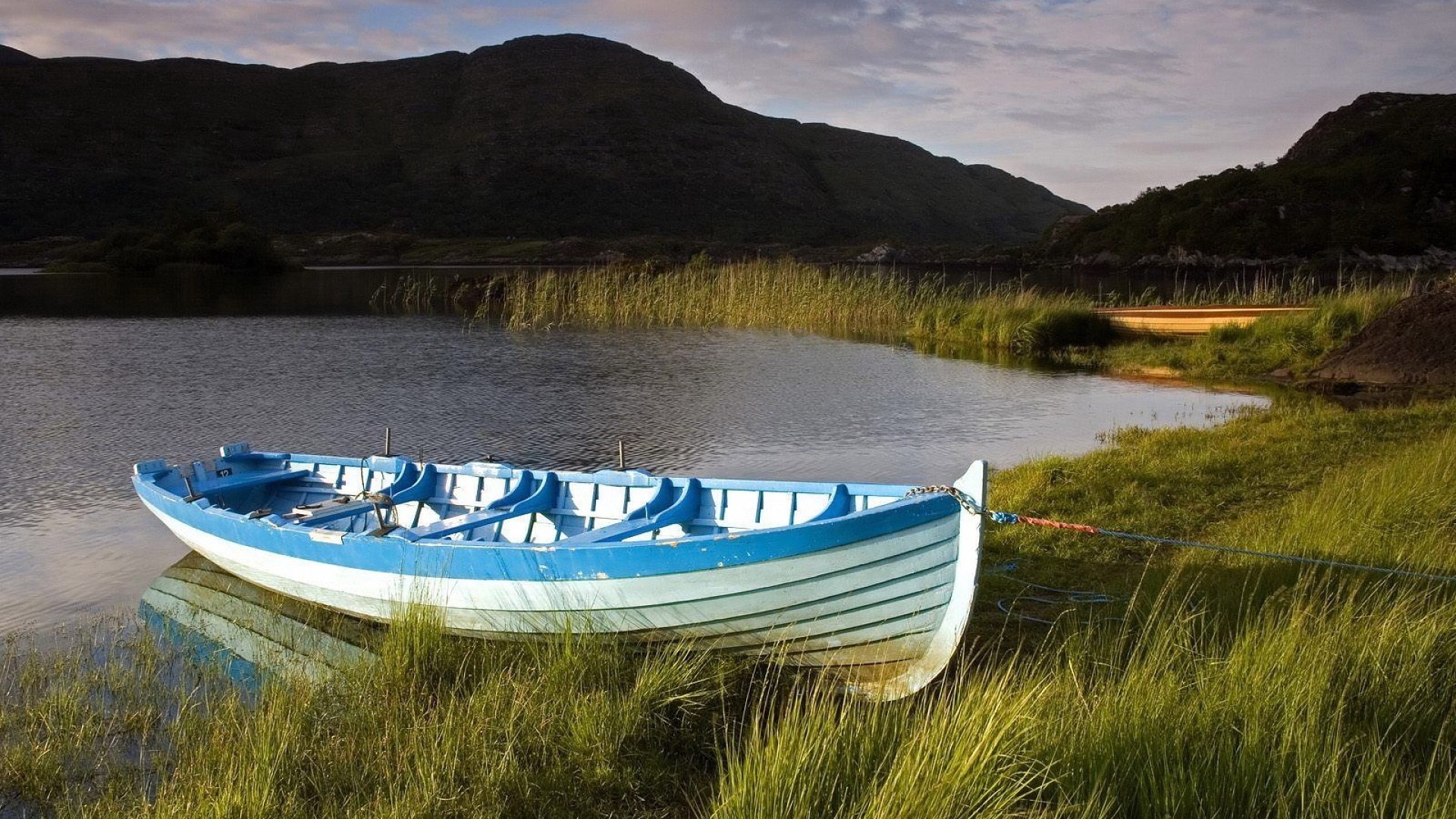 Blue and white rowboat on a grassy shore HD Wallpaper