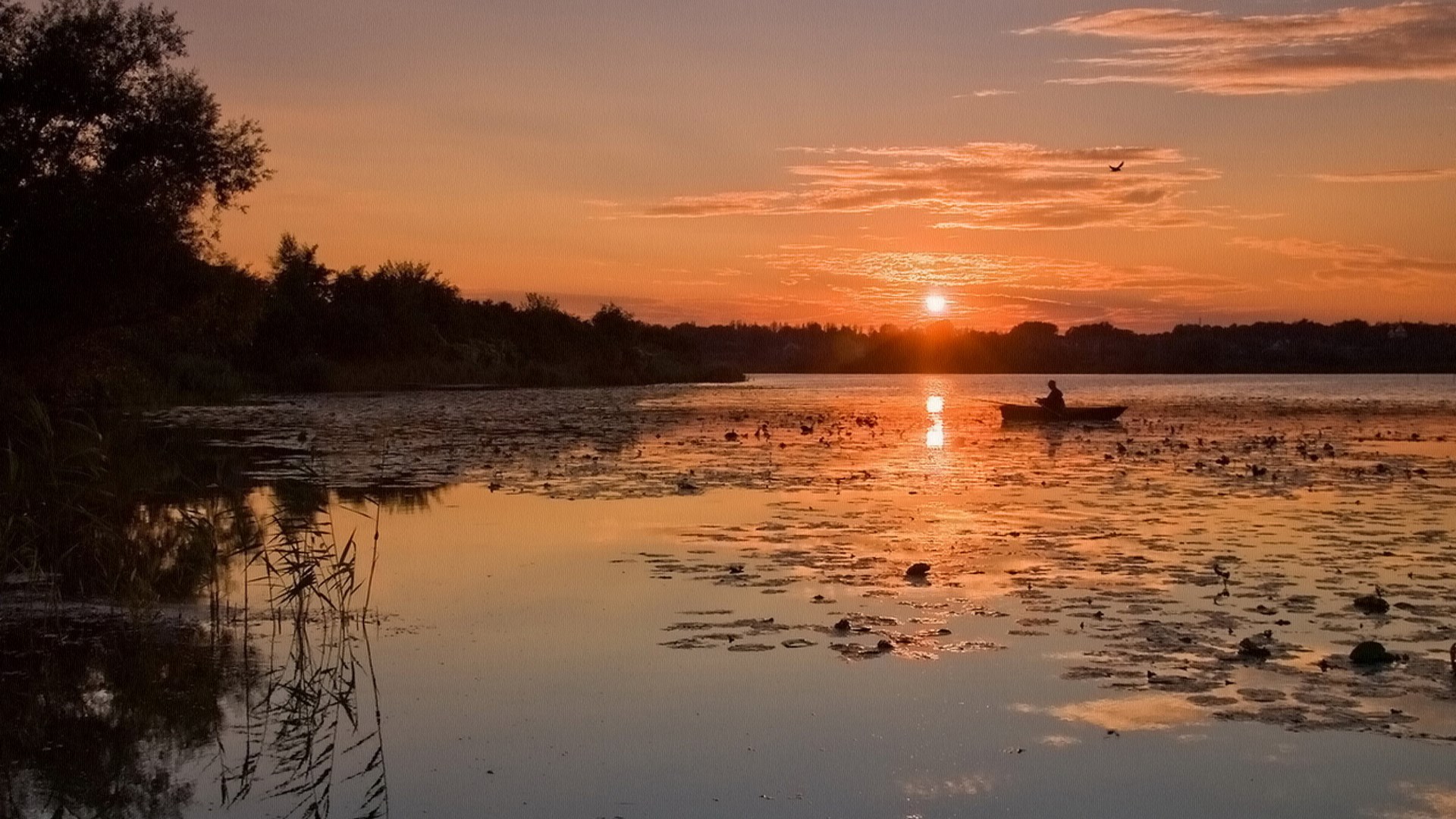 Person in a boat on a lake at sunset HD Wallpaper