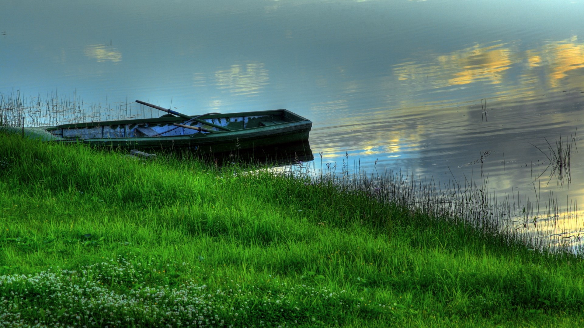 Boat on the shore of a grassy lake HD Wallpaper