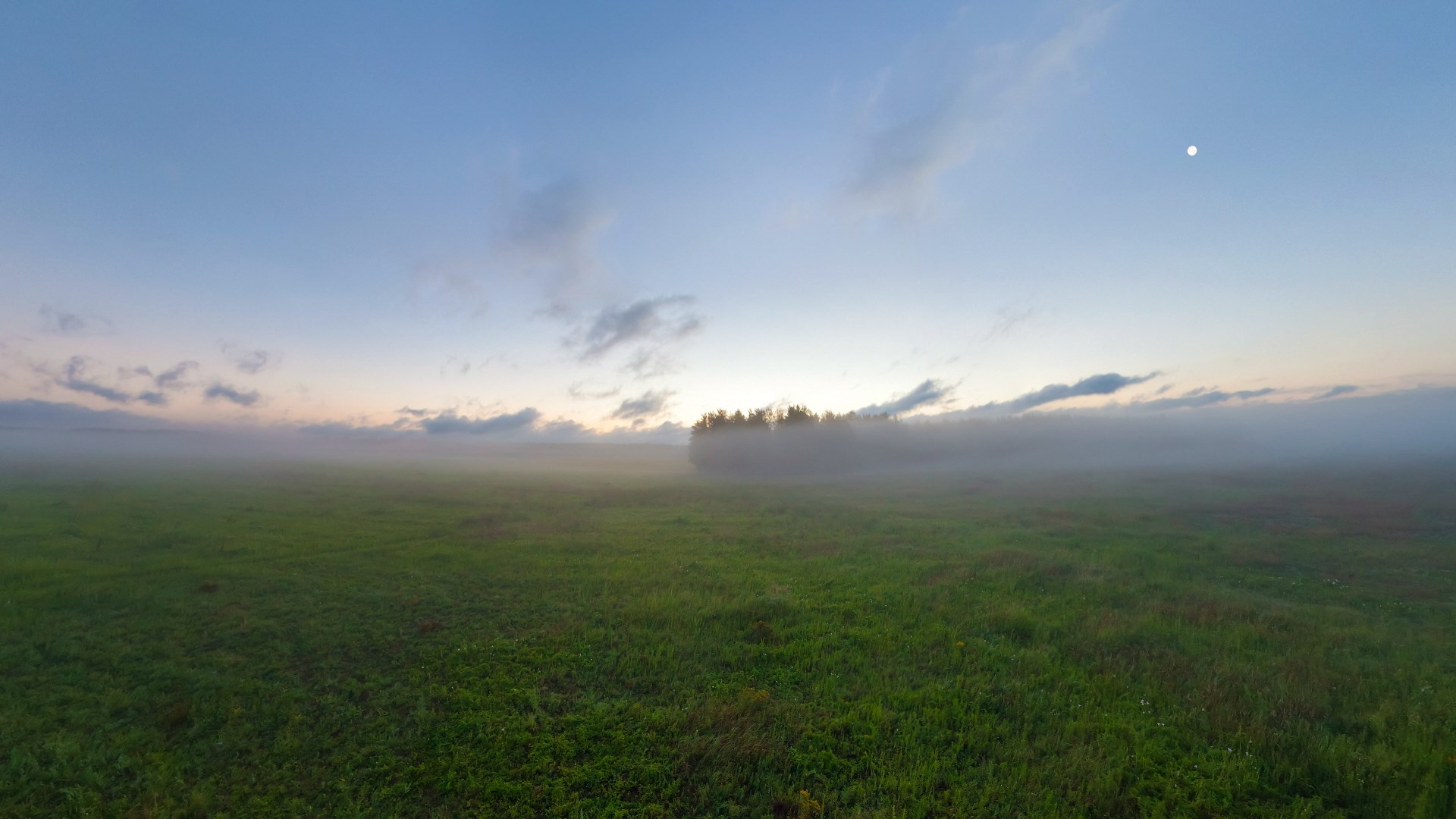 Misty field at dawn with moon in the sky HD Wallpaper