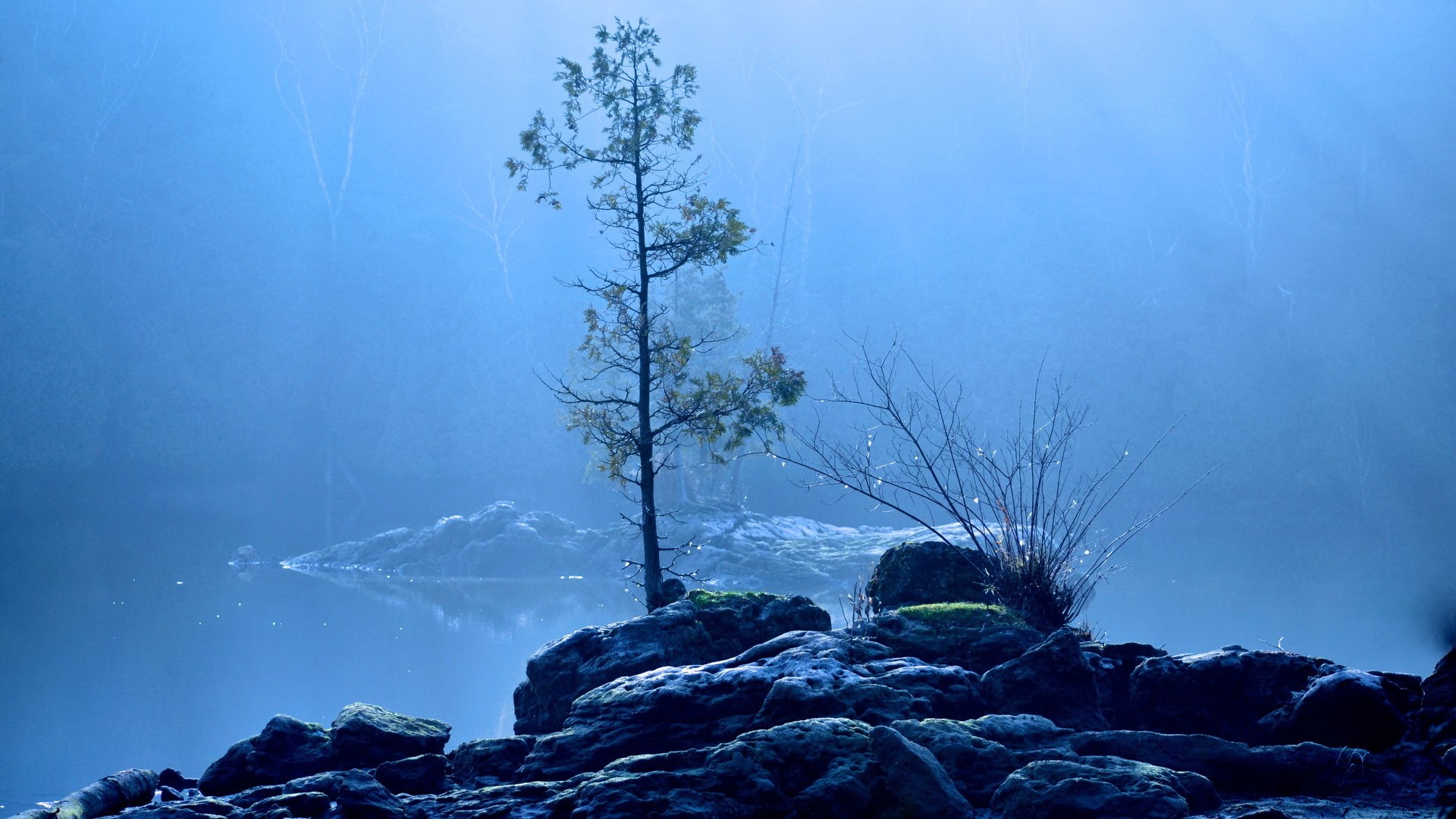 Misty lake with rocks and a lone tree HD Wallpaper