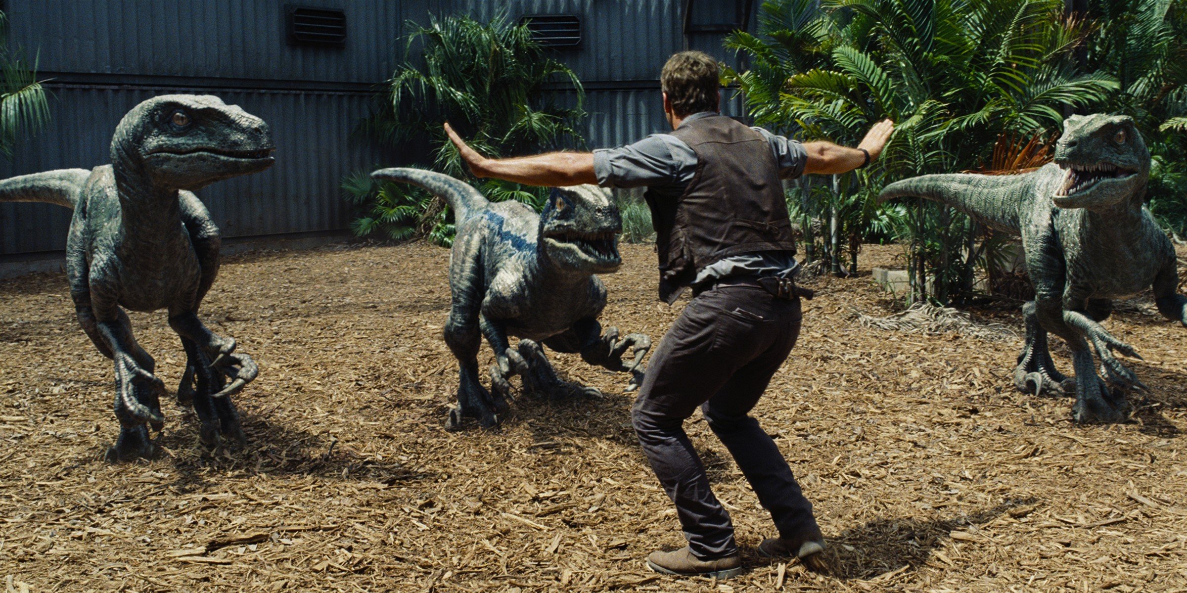 Chris Pratt with Velociraptors in Jurassic World HD Wallpaper