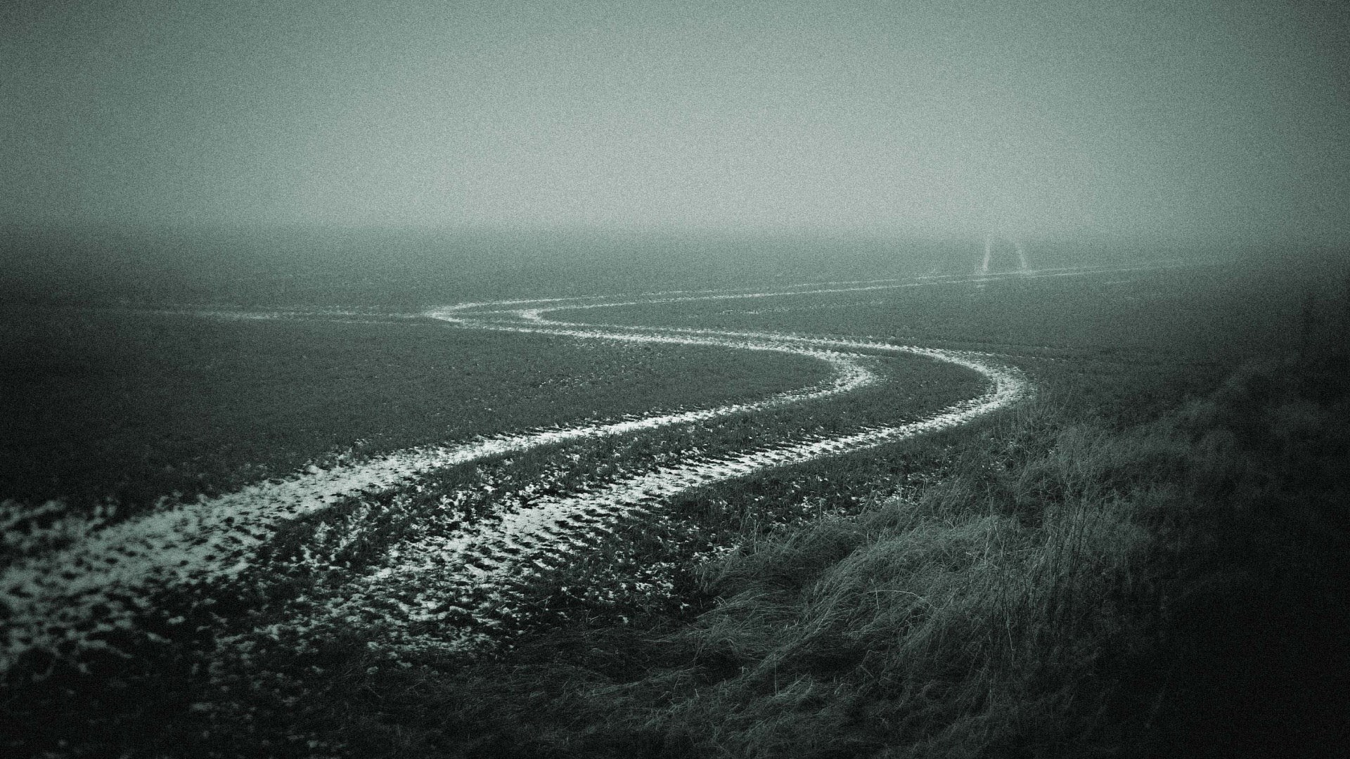 Tire tracks in a foggy field HD Wallpaper