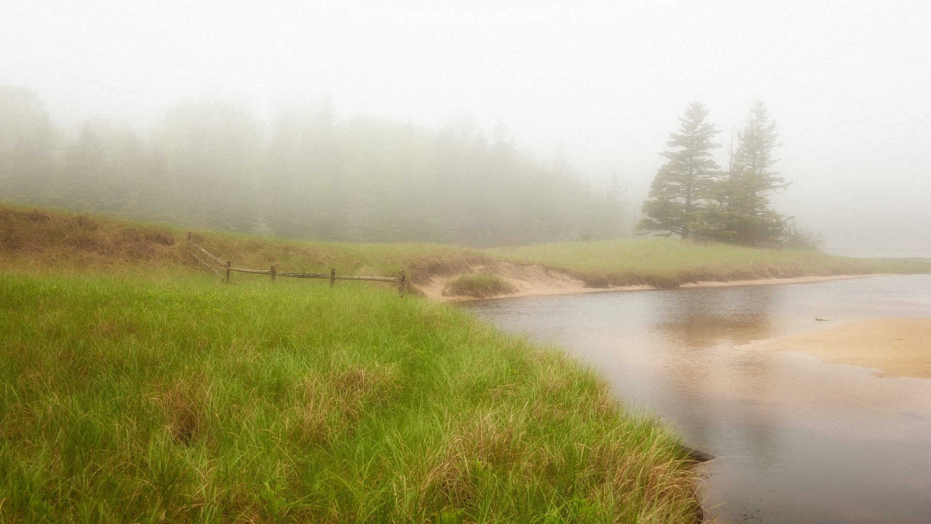 Misty landscape with a river and trees HD Wallpaper