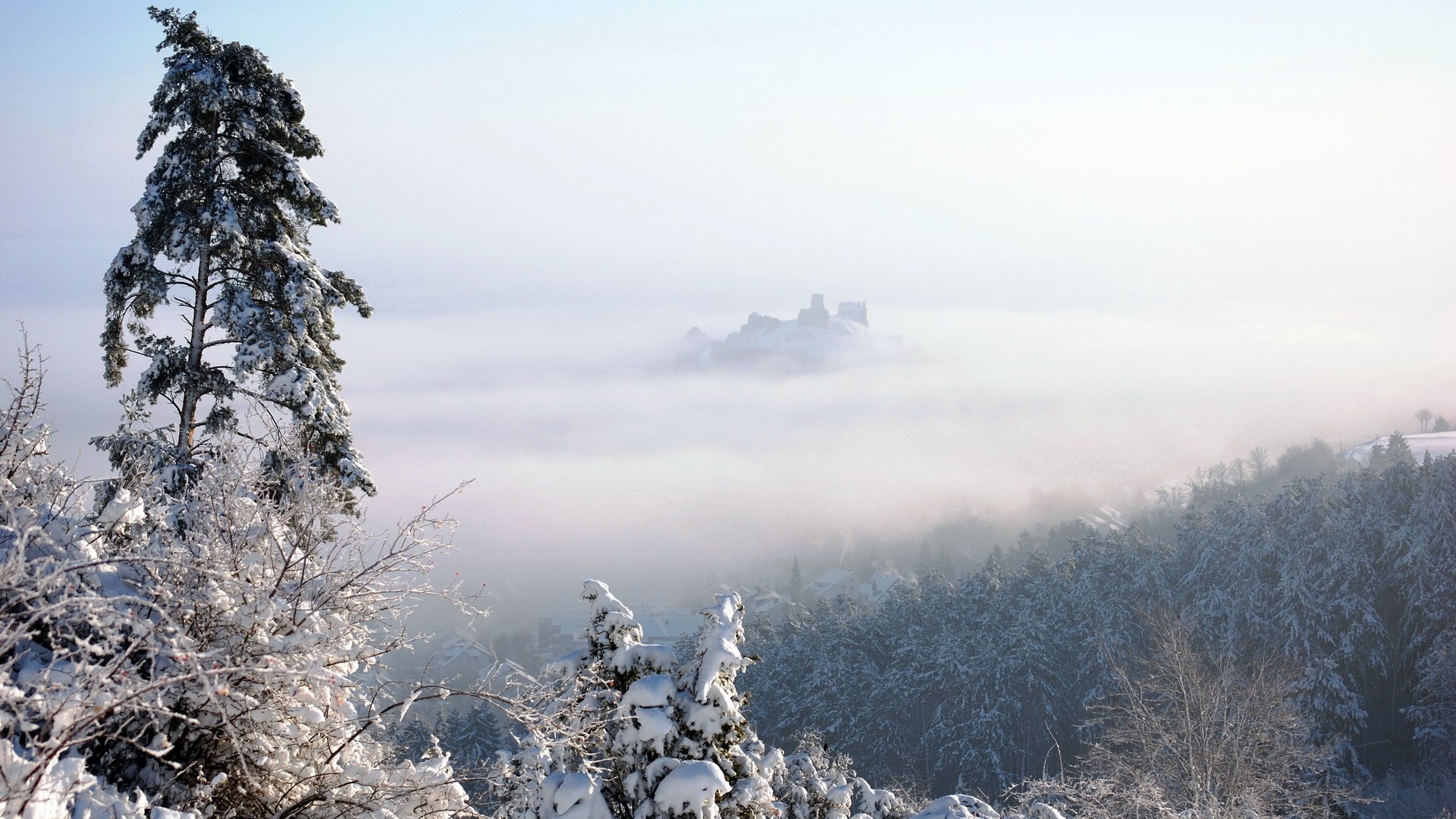 Castle ruins in fog over snowy forest HD Wallpaper