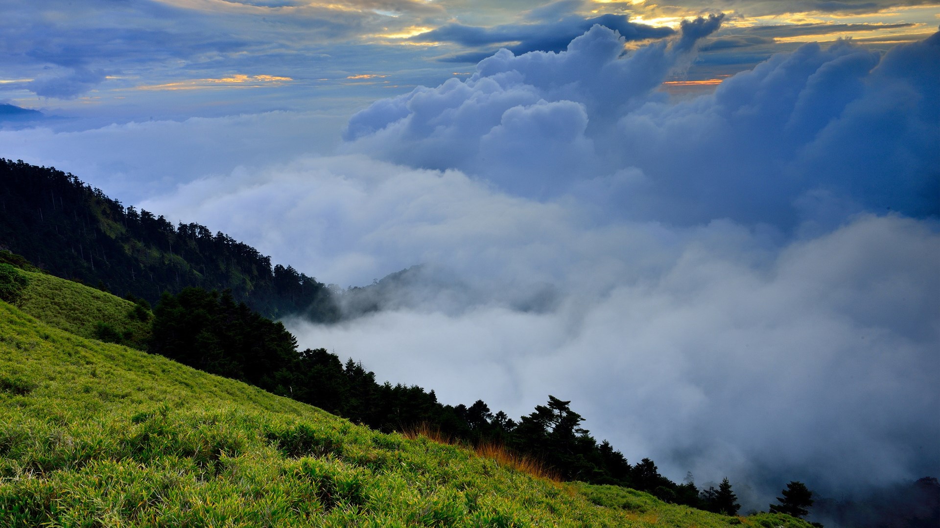 Mountain slope with clouds and forest HD Wallpaper