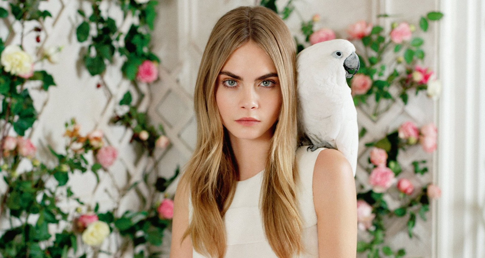 Cara Delevingne with a cockatoo HD Wallpaper