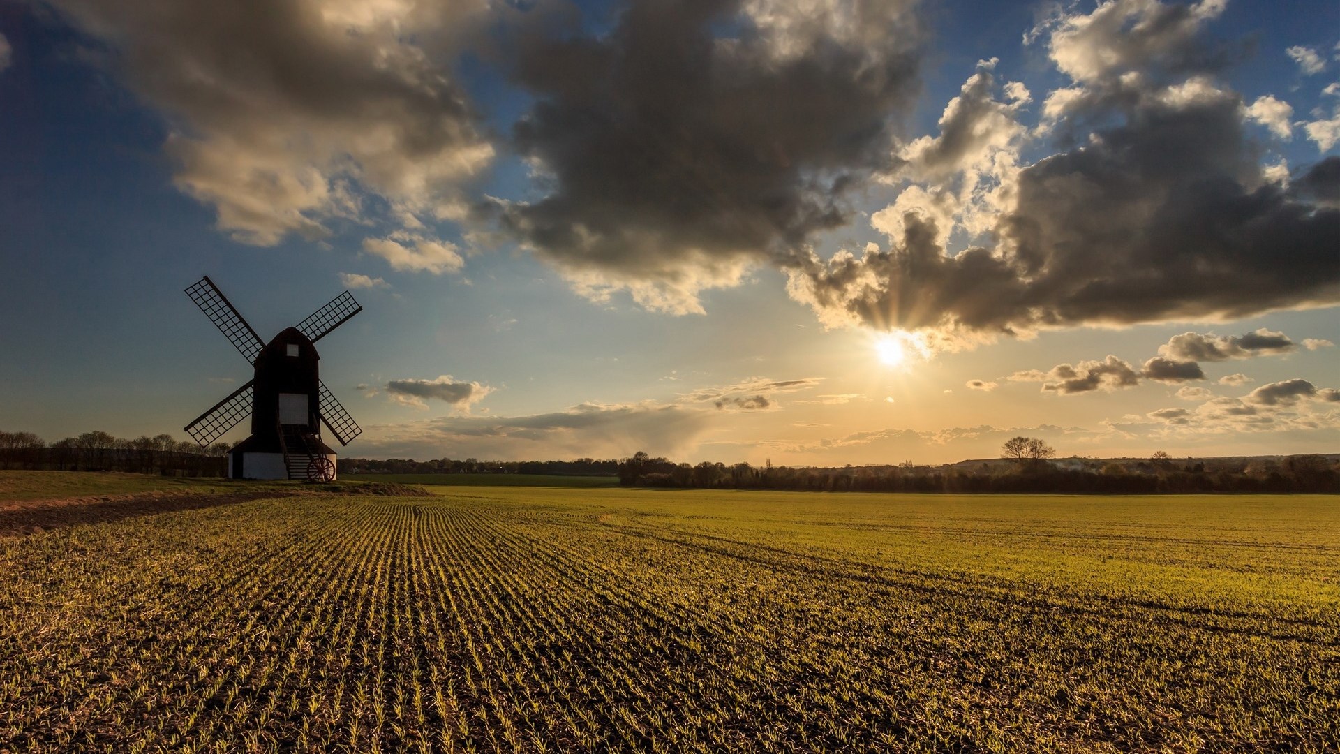 Windmill in a field at sunset HD Wallpaper