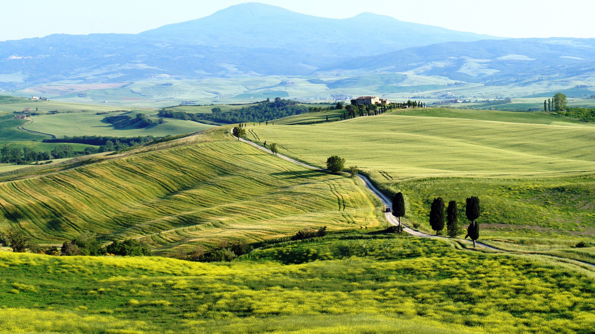 Rolling green hills with a winding road and cypress trees HD Wallpaper