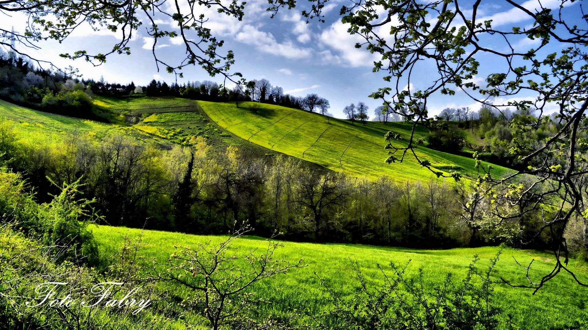 Green rolling hills with trees and a blue sky HD Wallpaper