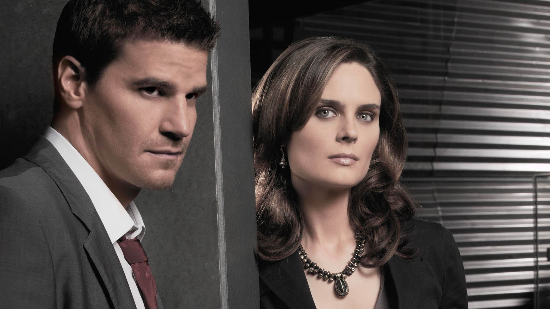 Emily Deschanel and David Boreanaz HD Wallpaper