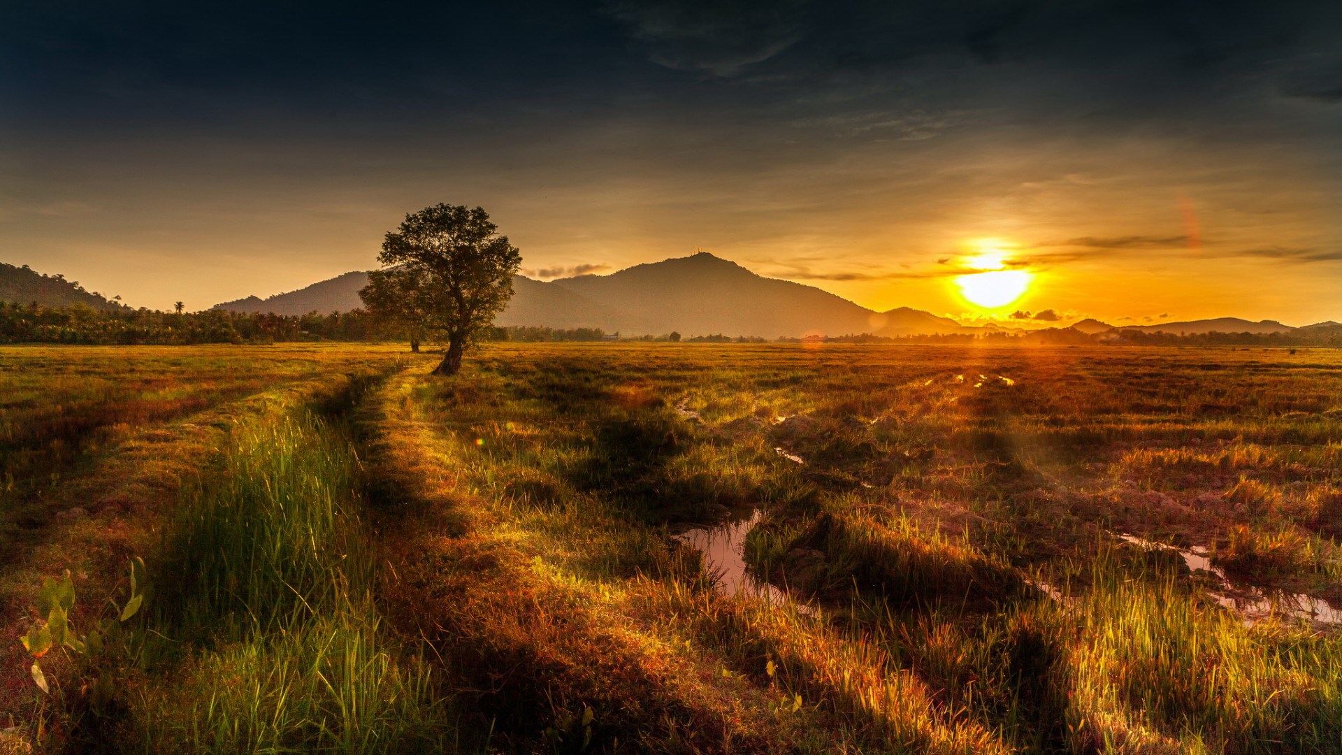 Sunset over a grassy field with mountains HD Wallpaper