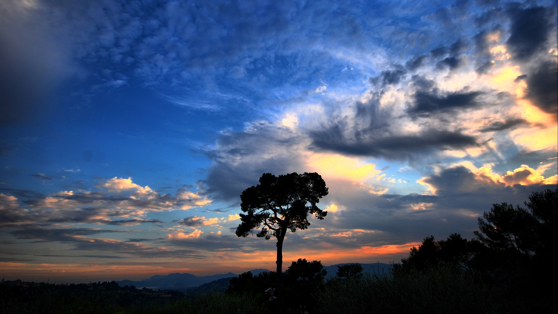 Silhouette of a tree against a dramatic sunset sky HD Wallpaper