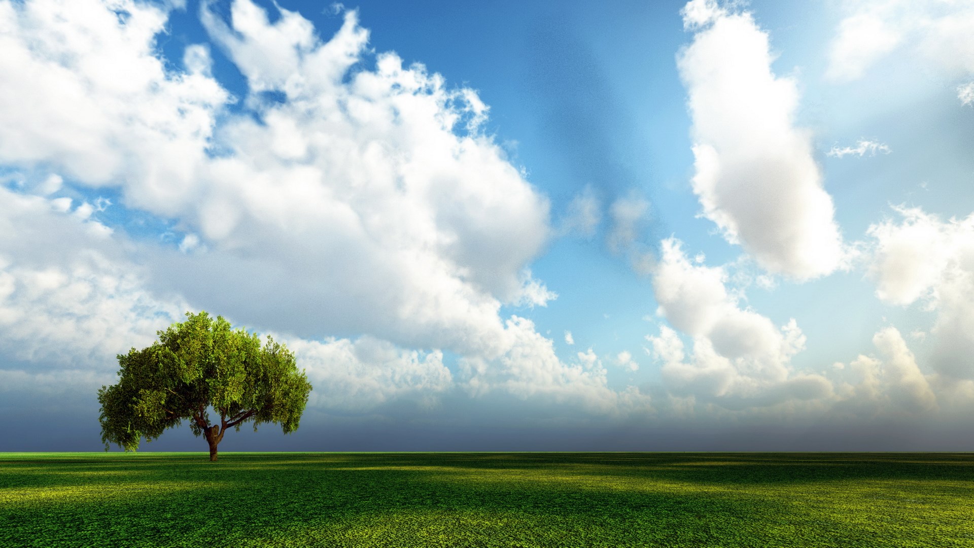 A lone tree in a green field under a cloudy sky HD Wallpaper