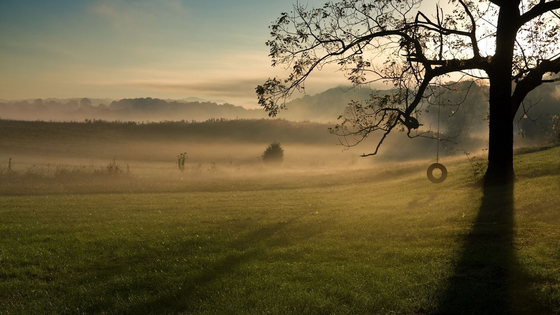 Misty morning landscape with a tire swing on a tree HD Wallpaper