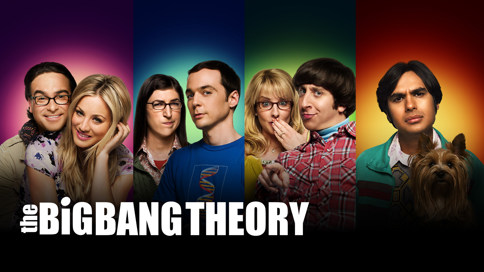 The Big Bang Theory cast HD Wallpaper