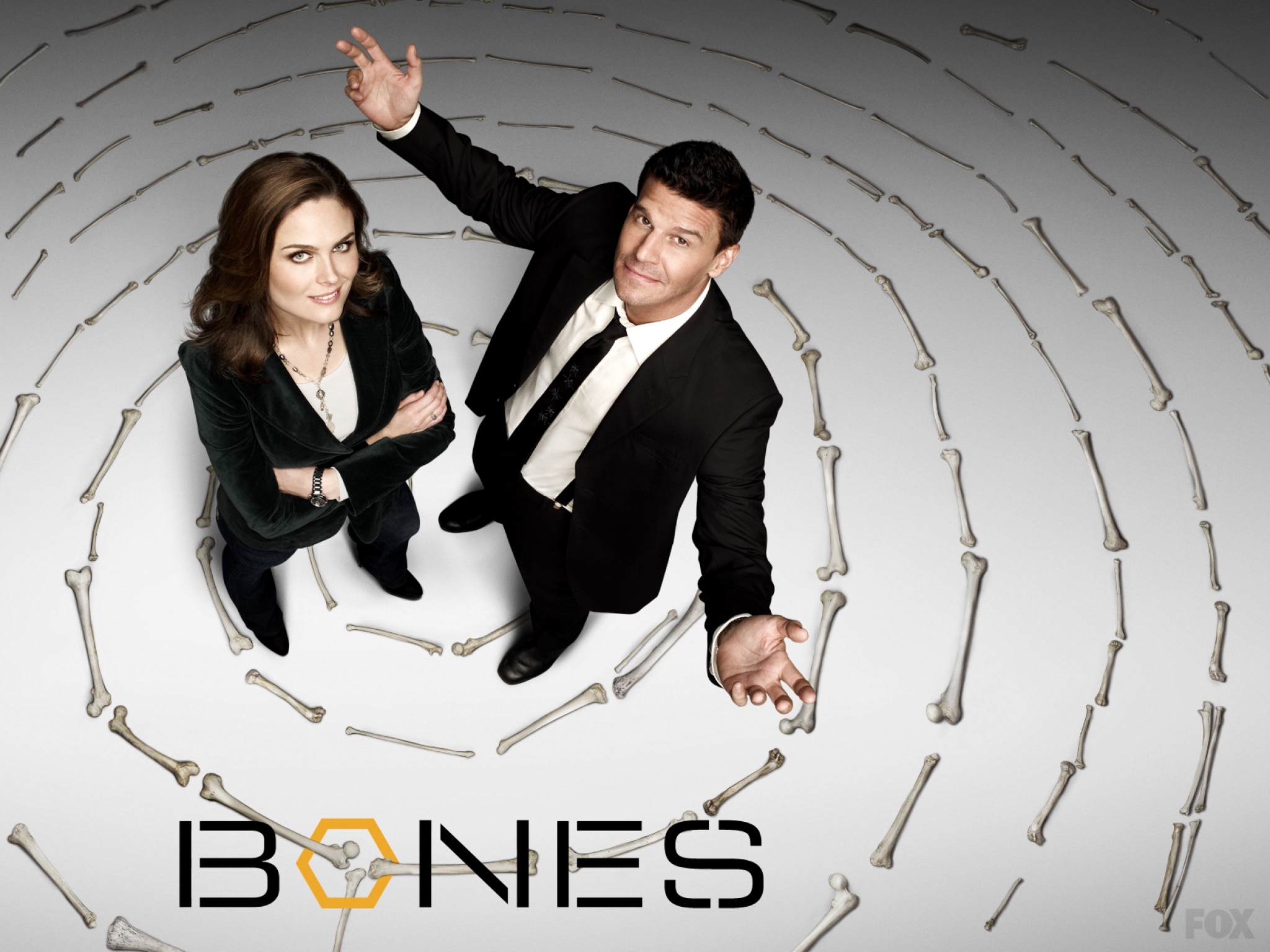 David Boreanaz and Emily Deschanel from Bones HD Wallpaper
