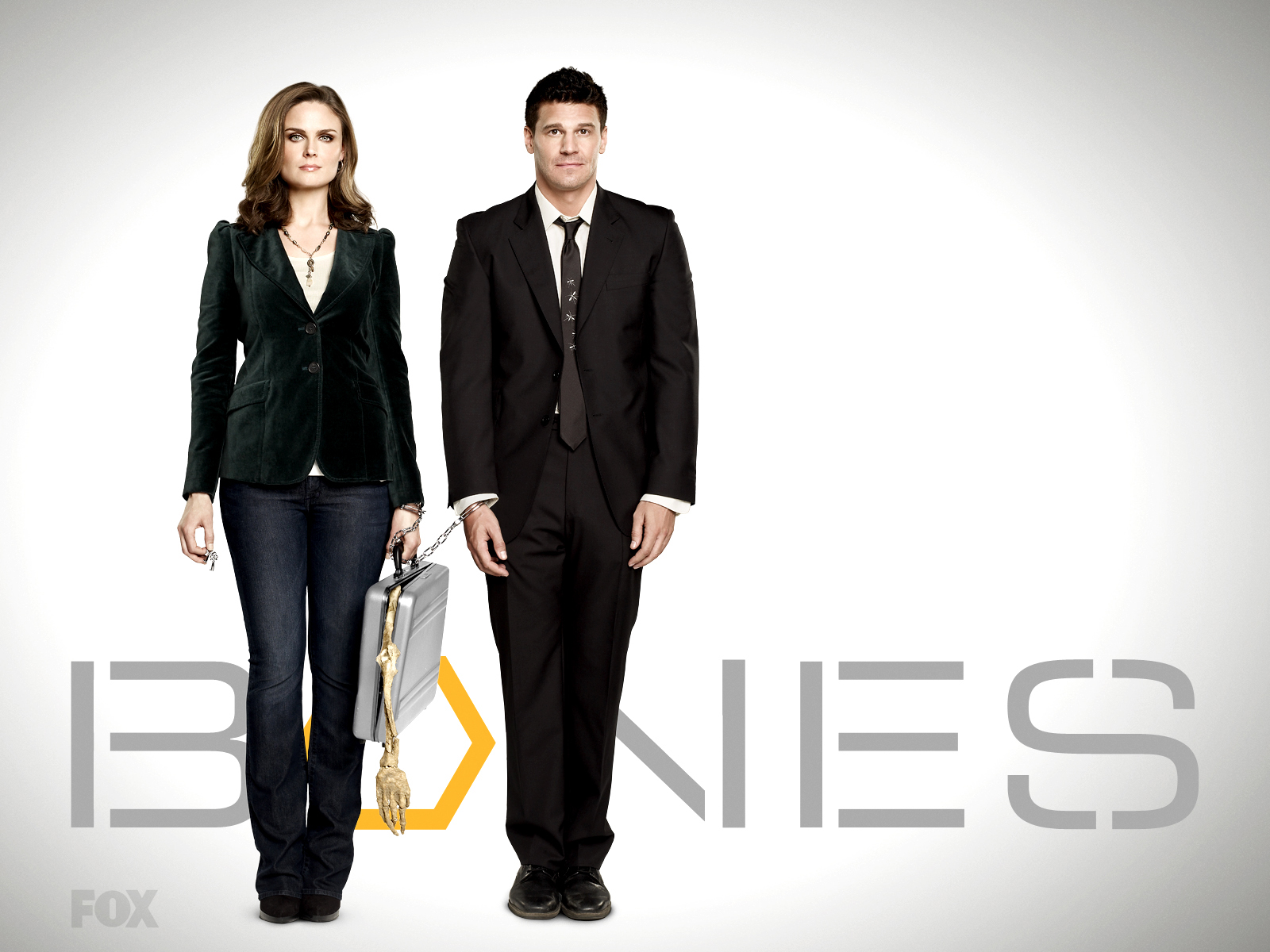 Emily Deschanel and David Boreanaz from Bones HD Wallpaper