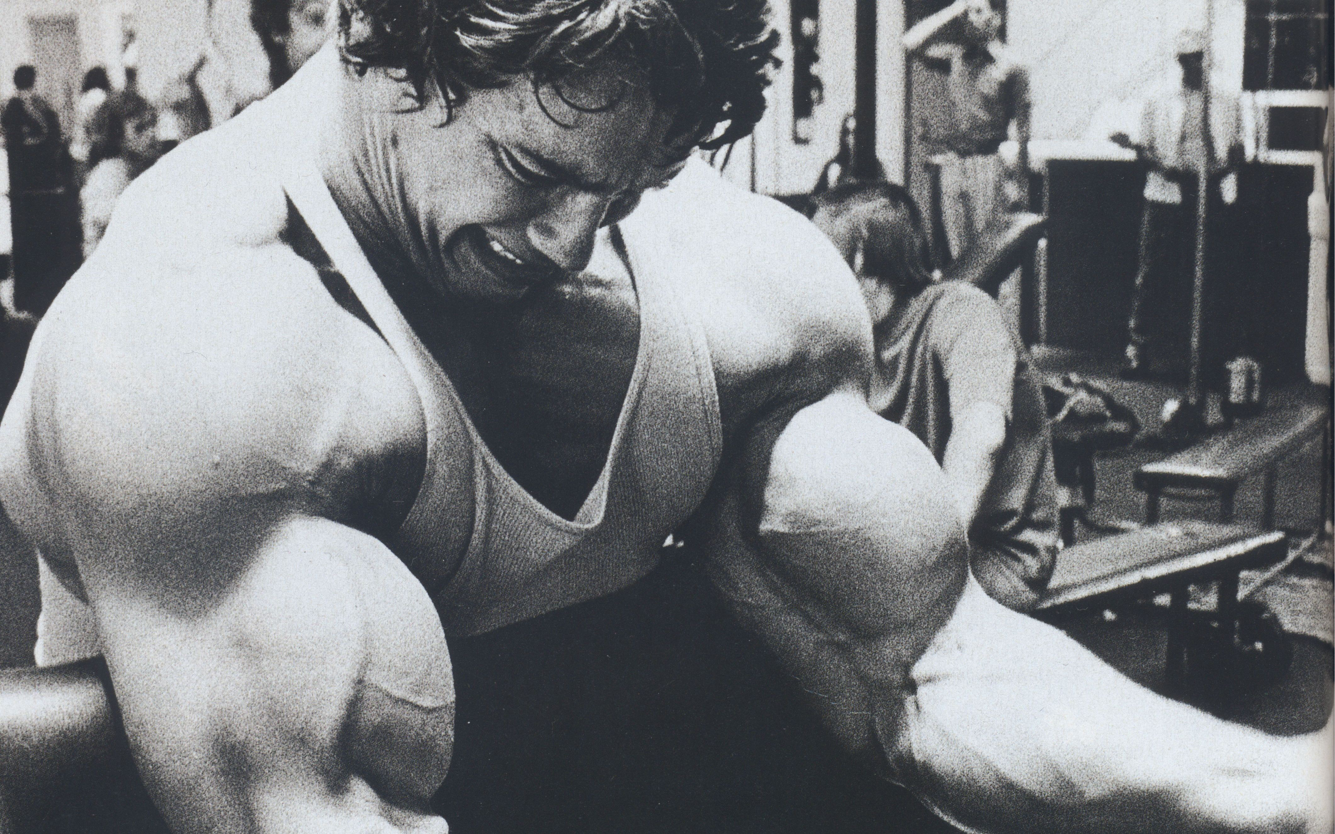 Arnold Schwarzenegger training biceps HD Wallpaper