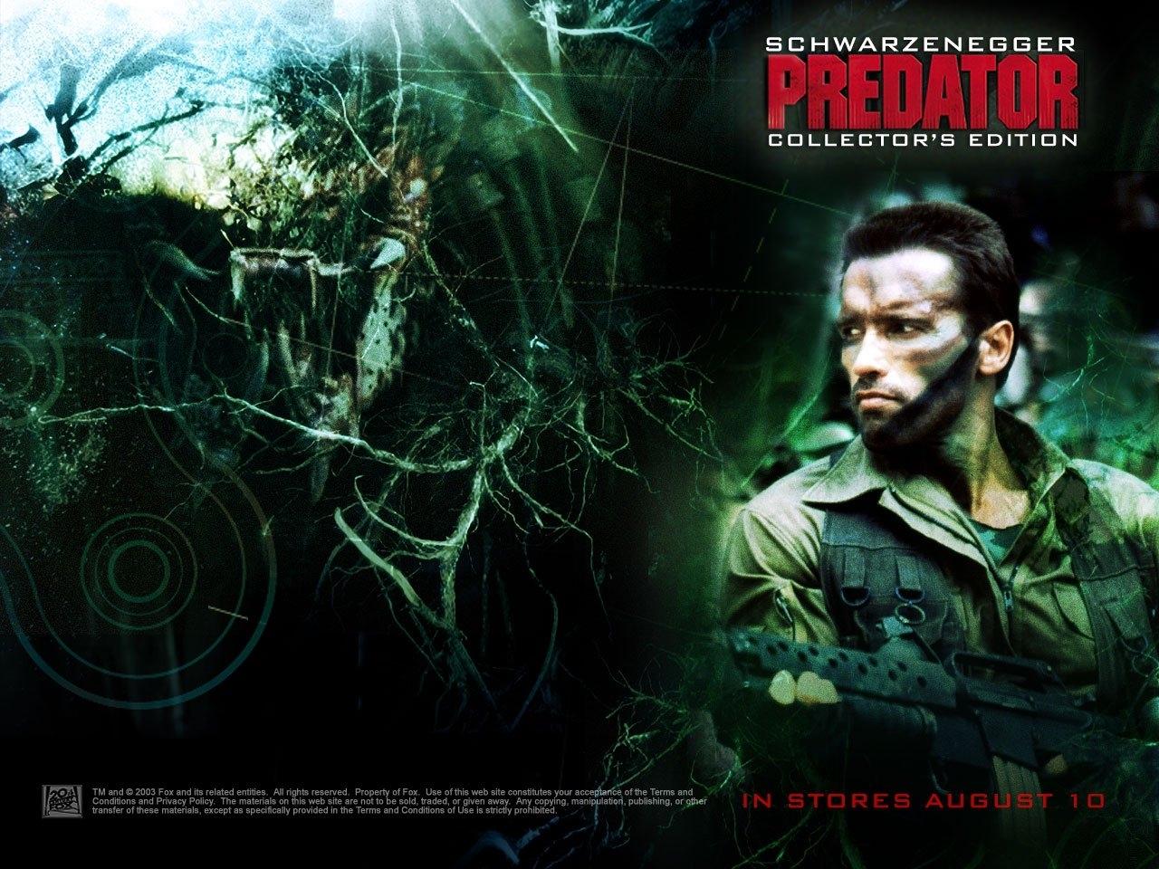 Arnold Schwarzenegger in Predator Collector's Edition HD Wallpaper