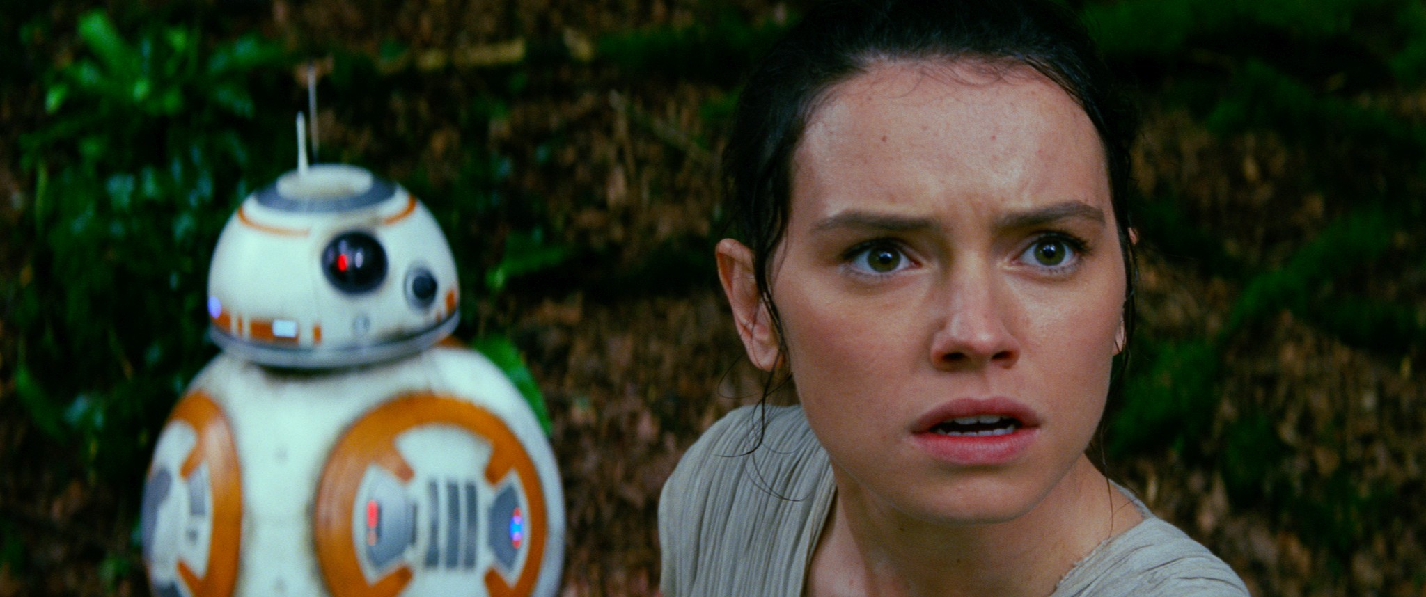Rey and BB-8 from Star Wars HD Wallpaper