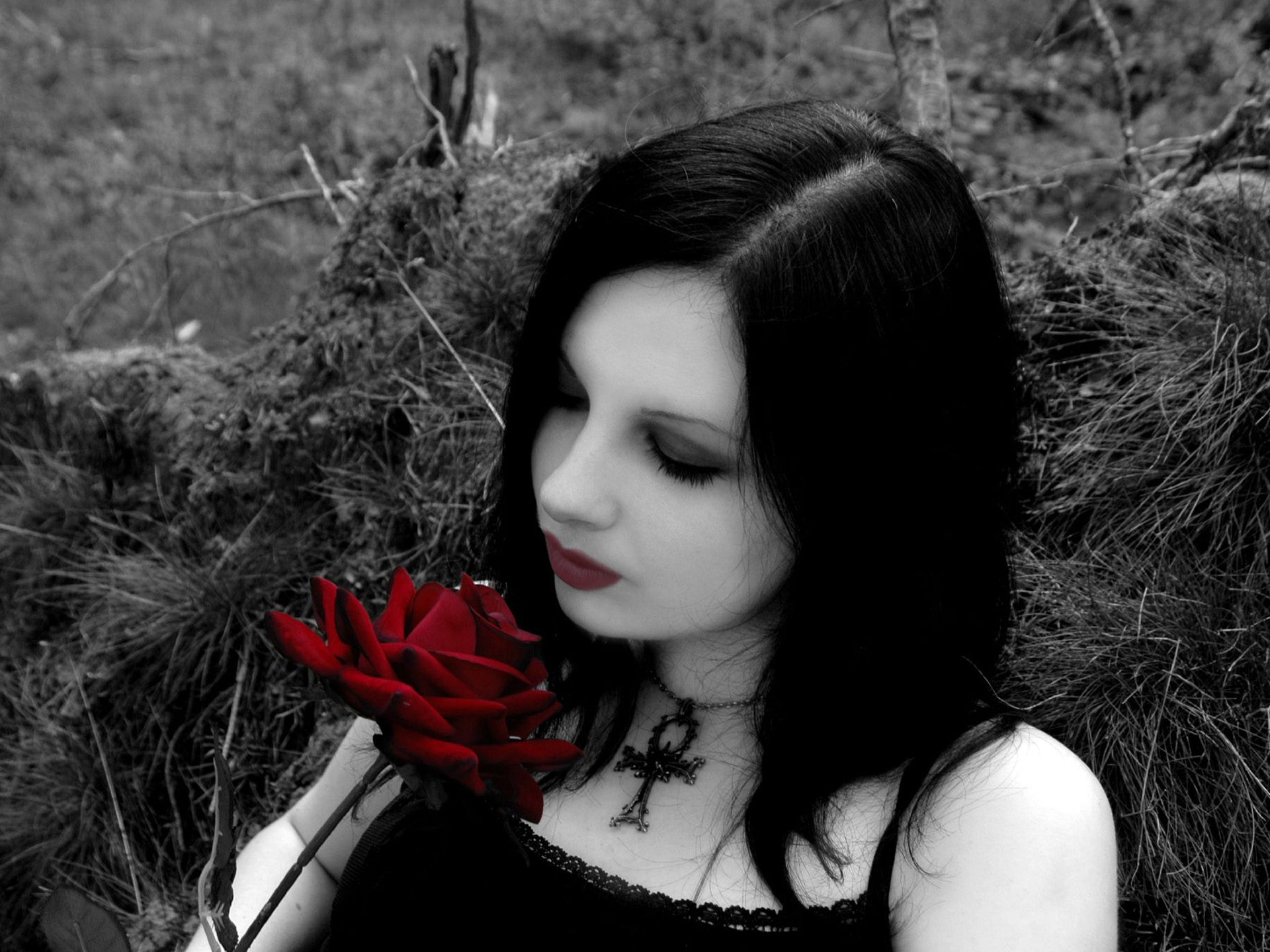 Michelle Trachtenberg with a red rose HD Wallpaper