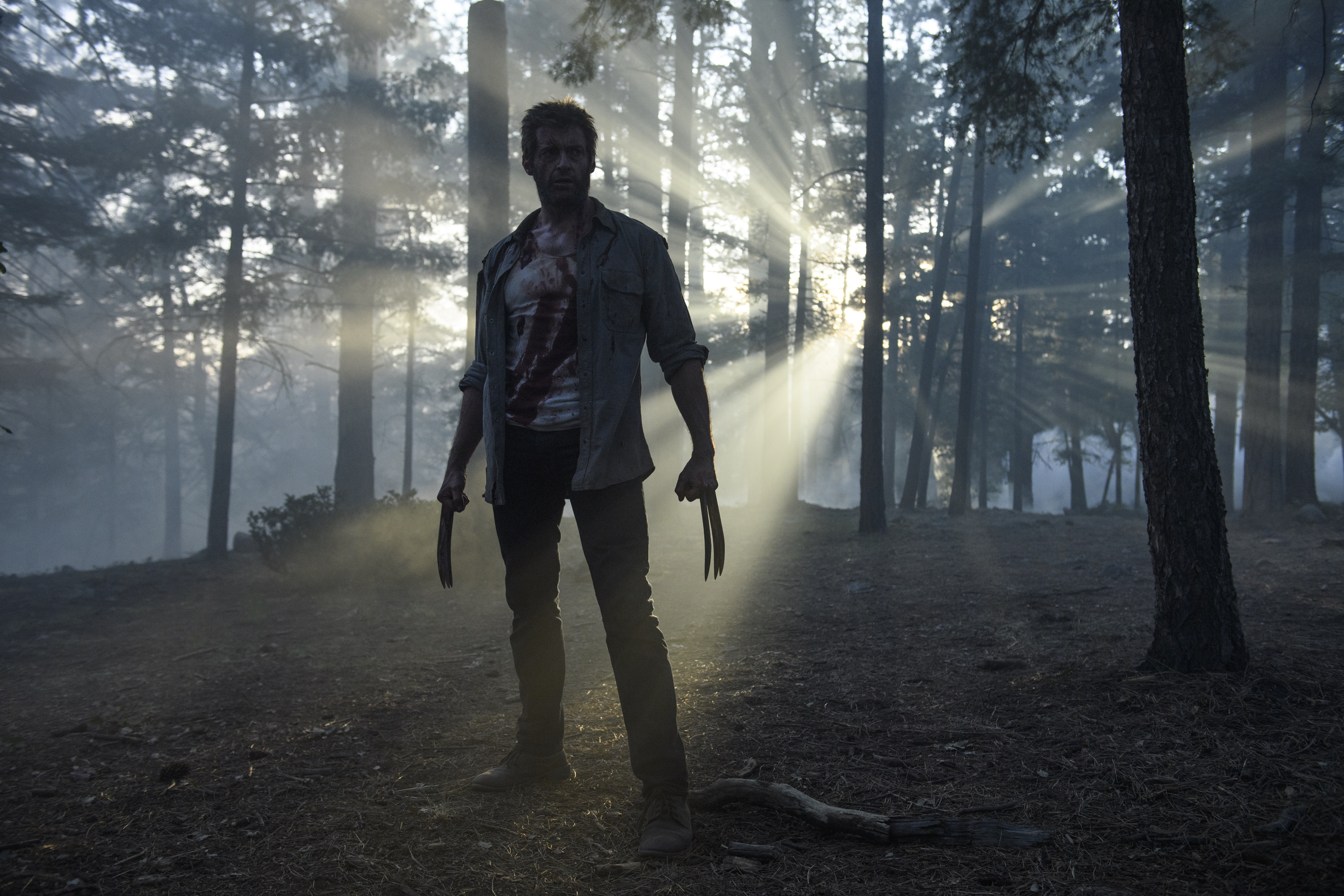 Hugh Jackman as Wolverine in a forest HD Wallpaper