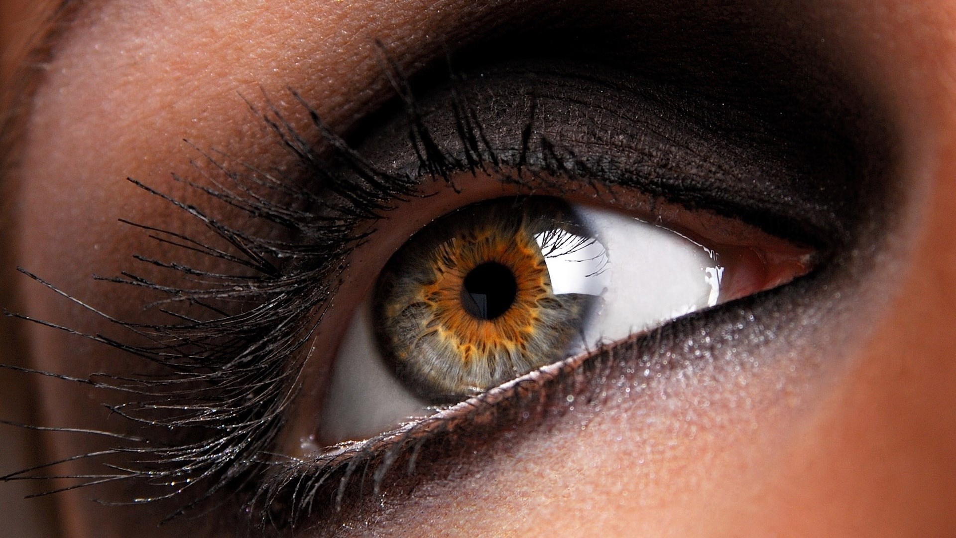 Close-up of a woman's eye with dramatic makeup HD Wallpaper