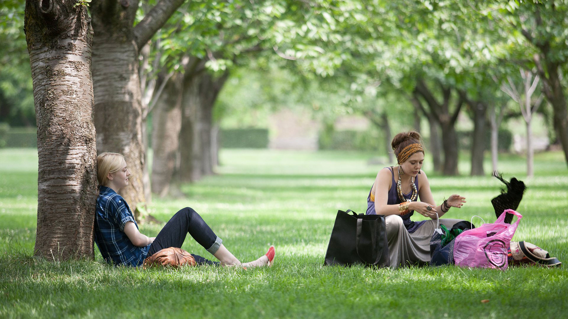 Dakota Fanning and companion in a park HD Wallpaper