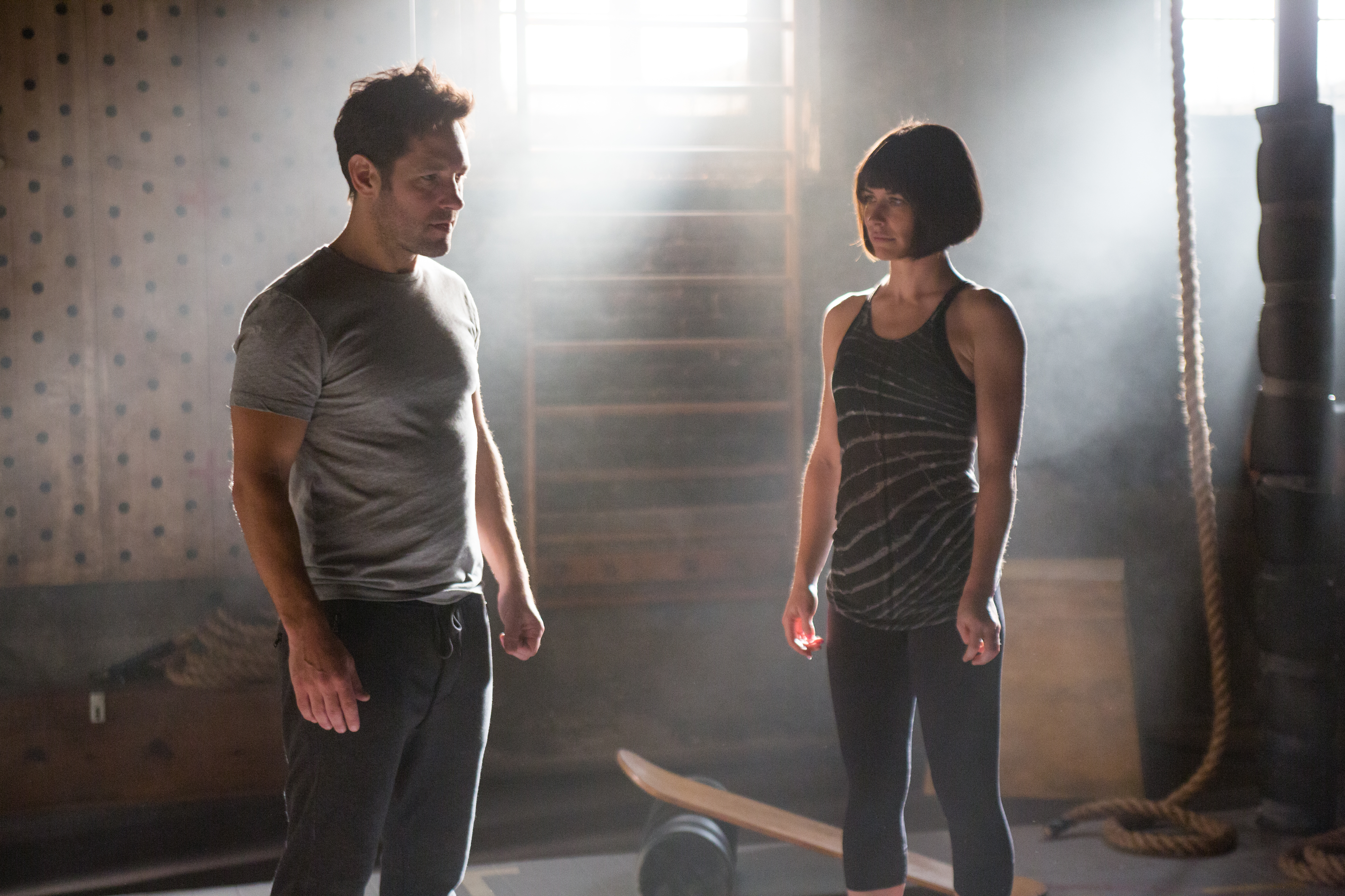 Evangeline Lilly Training in Gym HD Wallpaper
