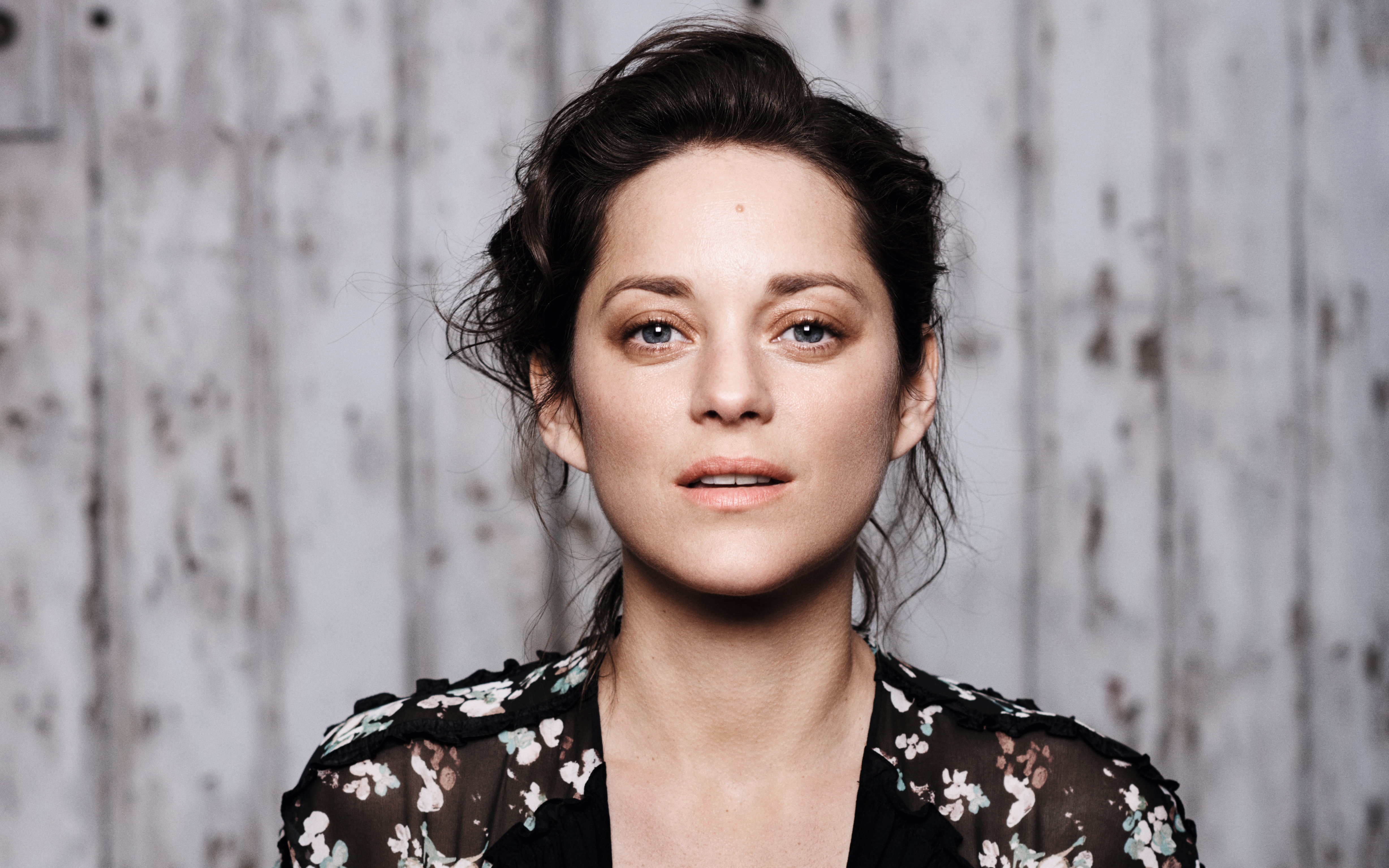Marion Cotillard HD Wallpaper