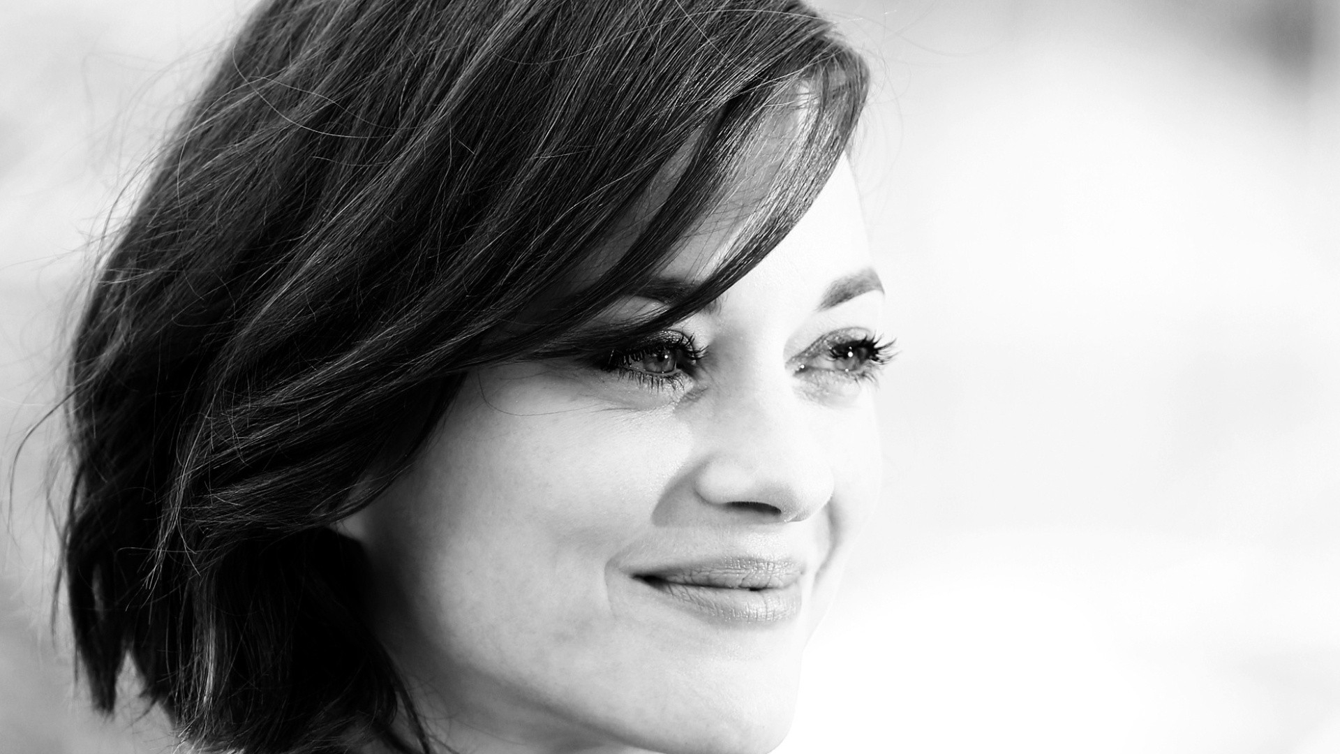 Marion Cotillard HD Wallpaper