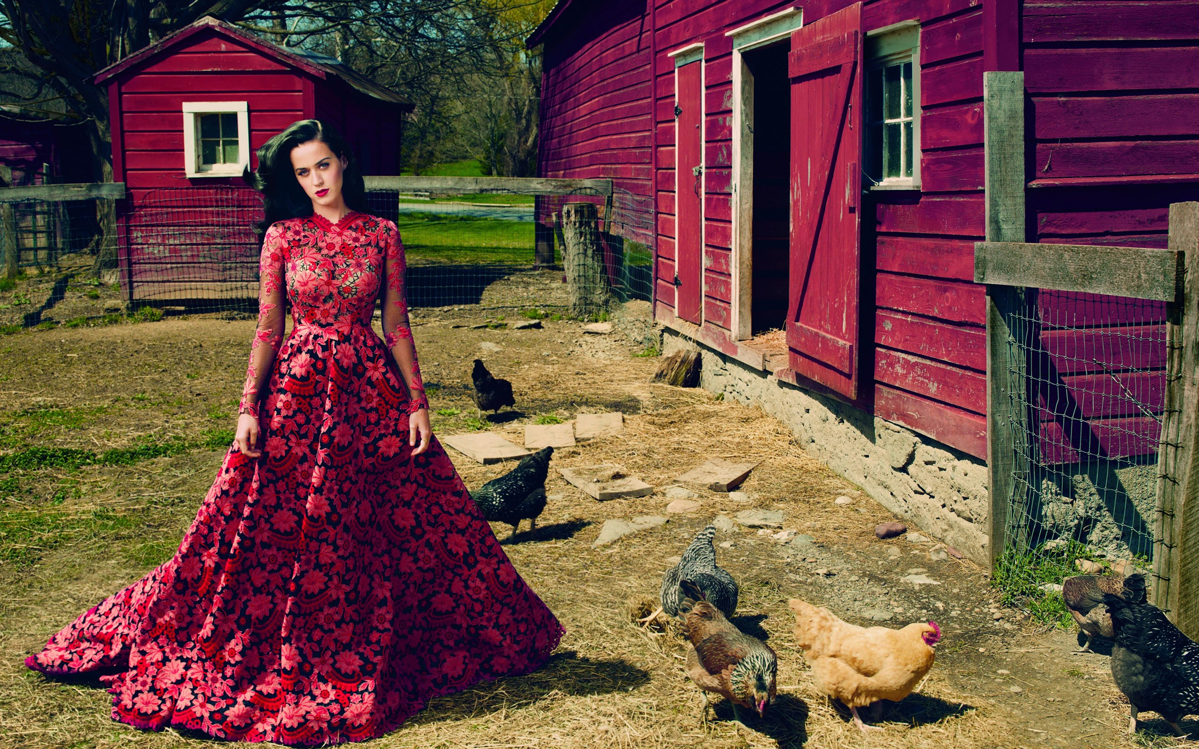 Katy Perry on a farm with chickens HD Wallpaper