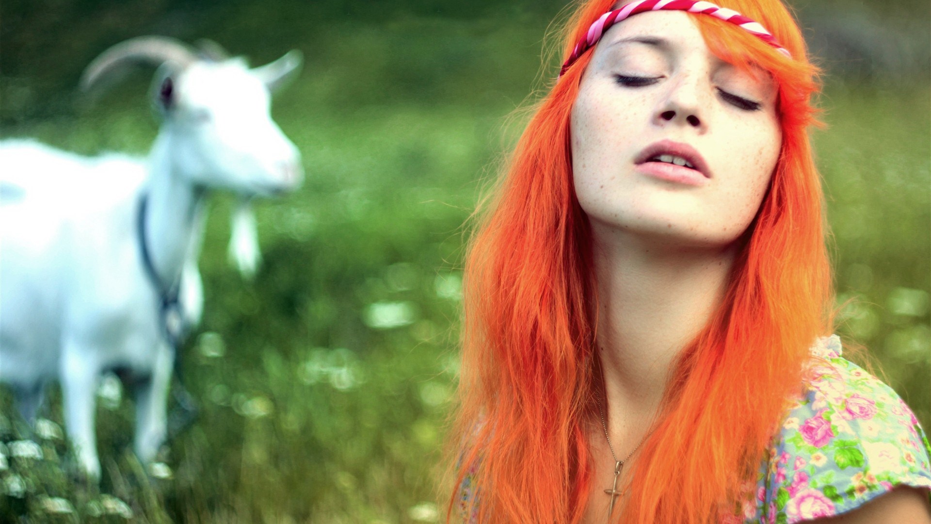 Girl with orange hair and a goat in a field HD Wallpaper
