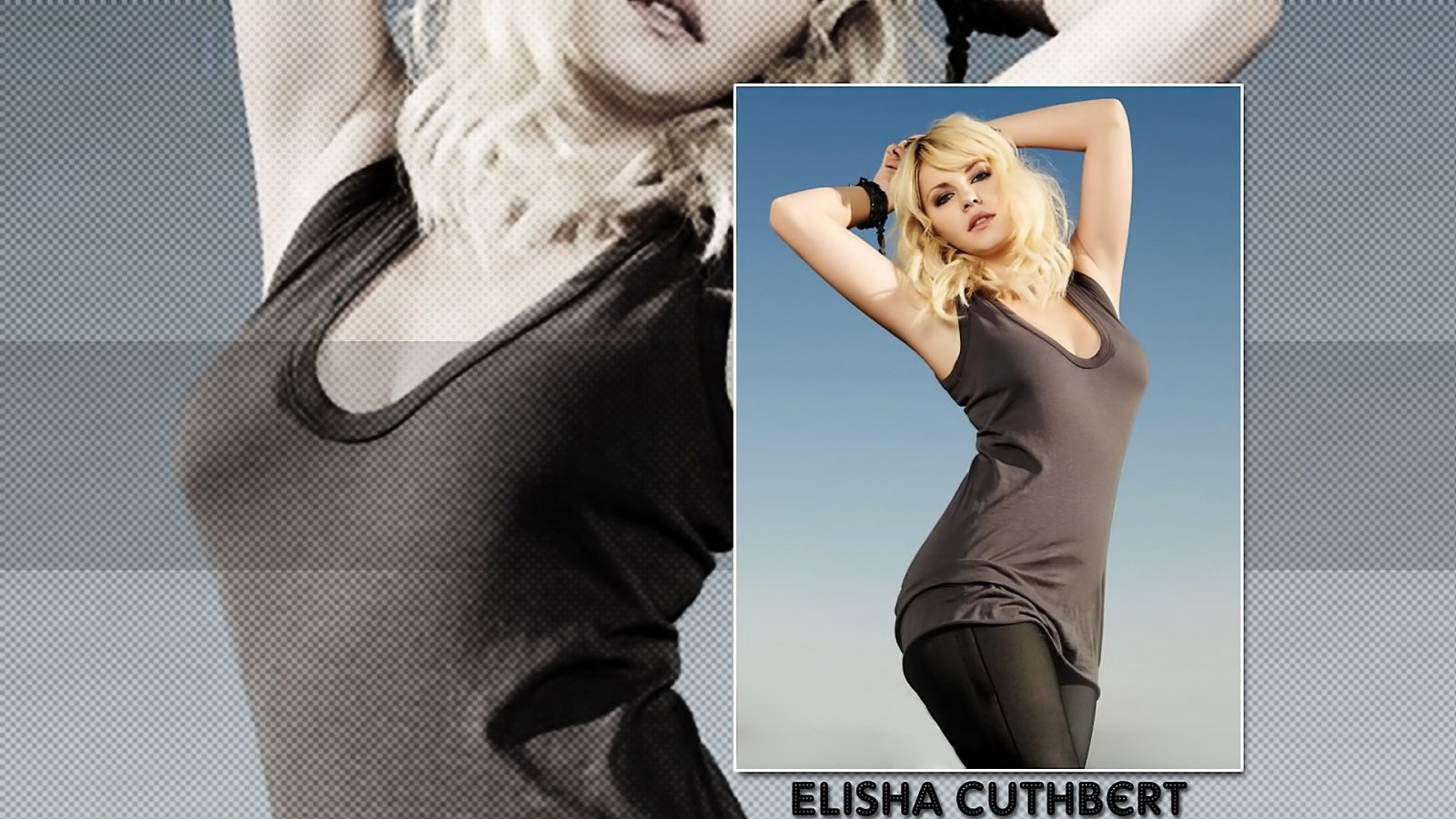Elisha Cuthbert HD Wallpaper
