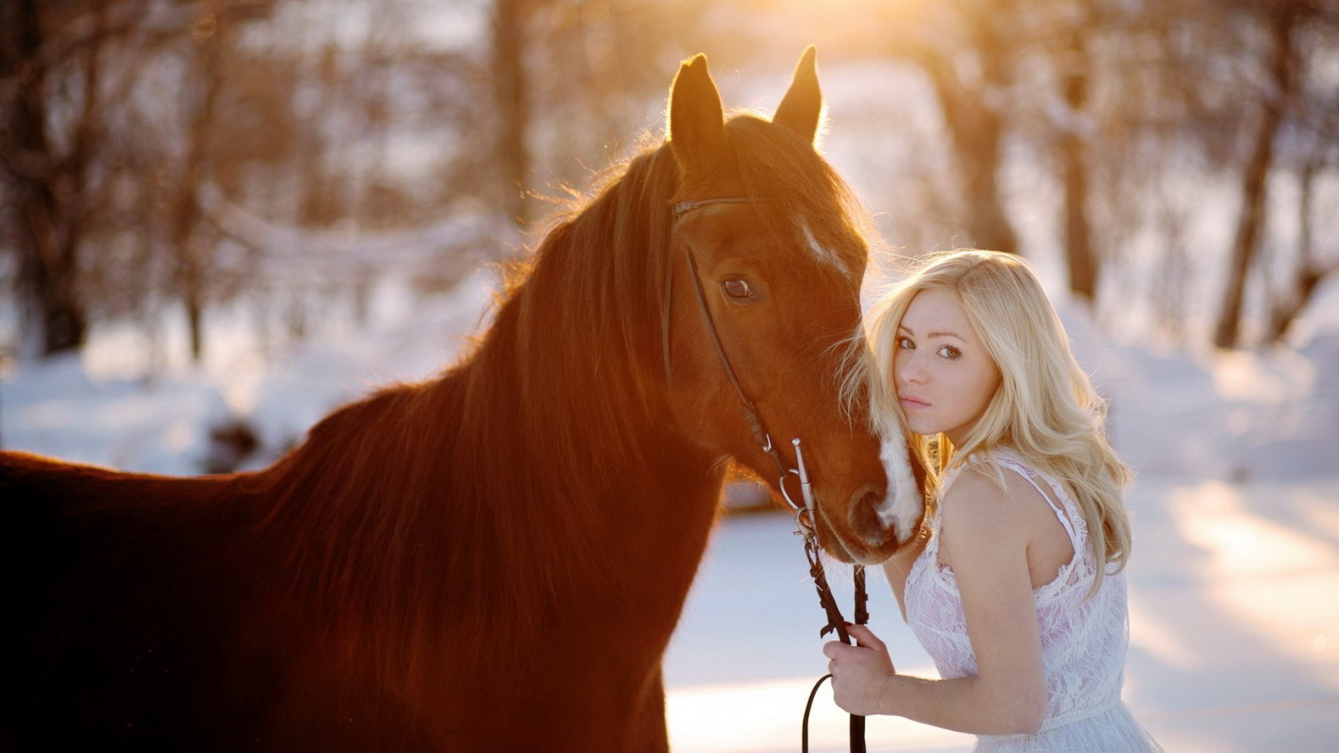 Woman in white dress with horse in snowy forest HD Wallpaper