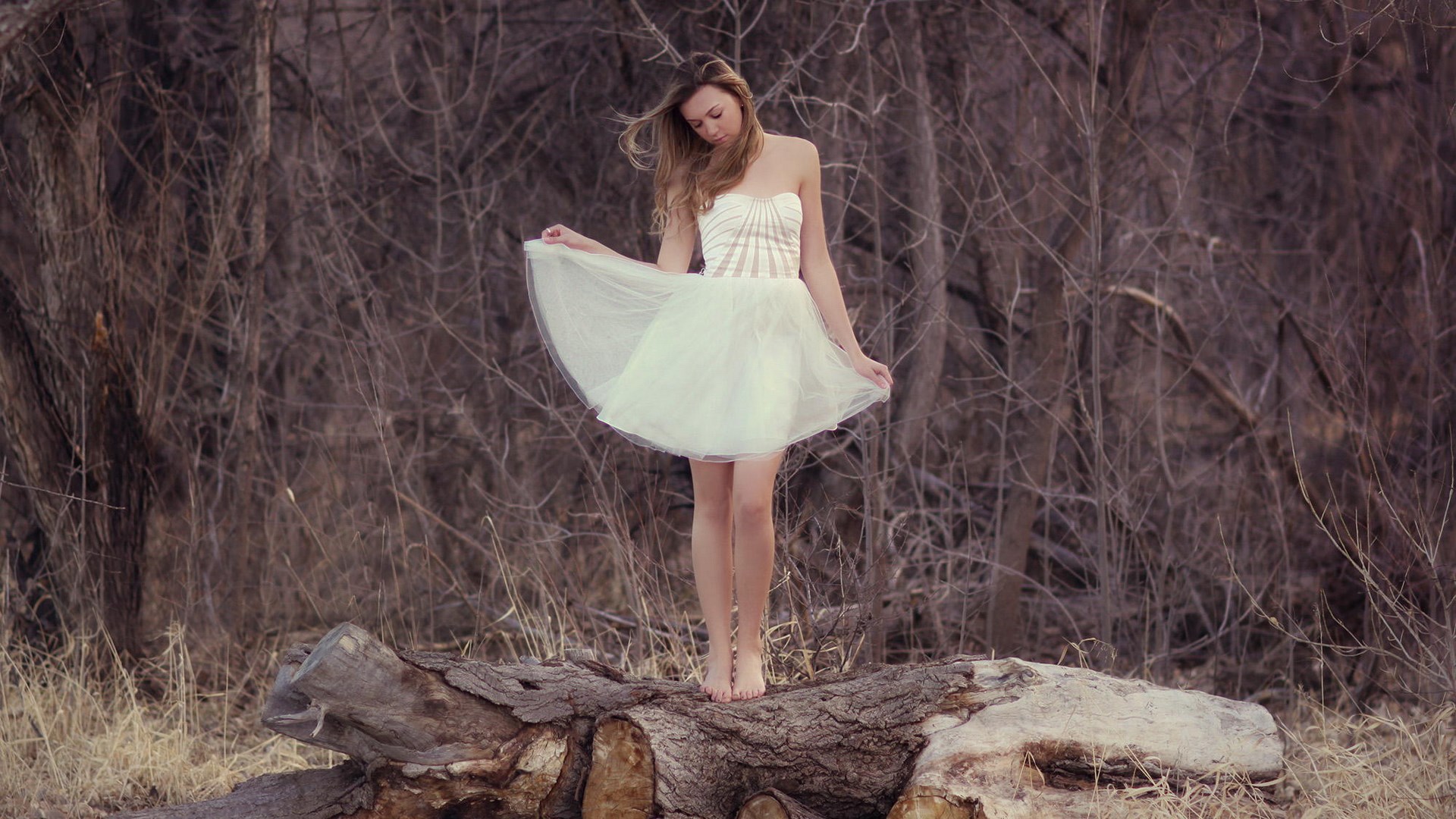 Woman in white dress standing on logs HD Wallpaper