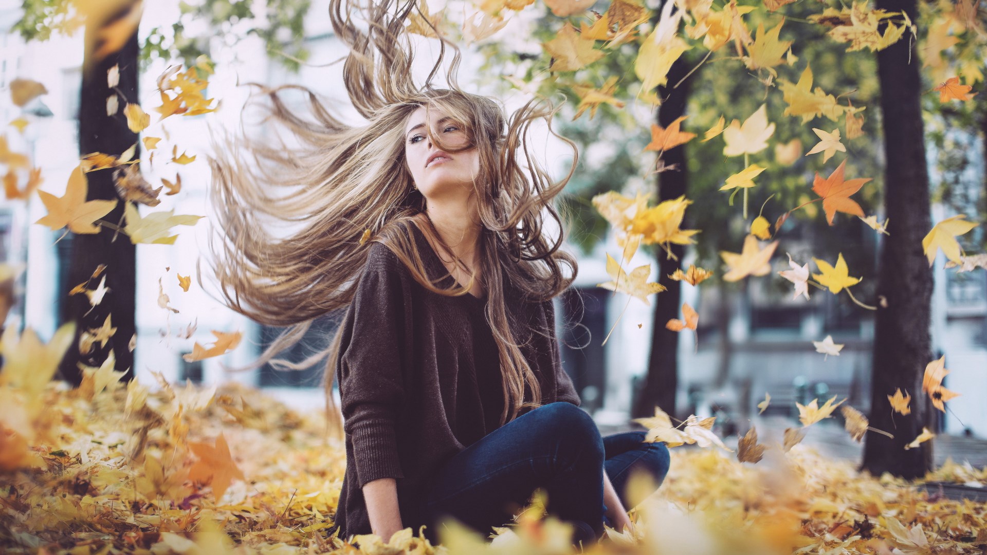 Woman sitting in autumn leaves with hair blowing HD Wallpaper