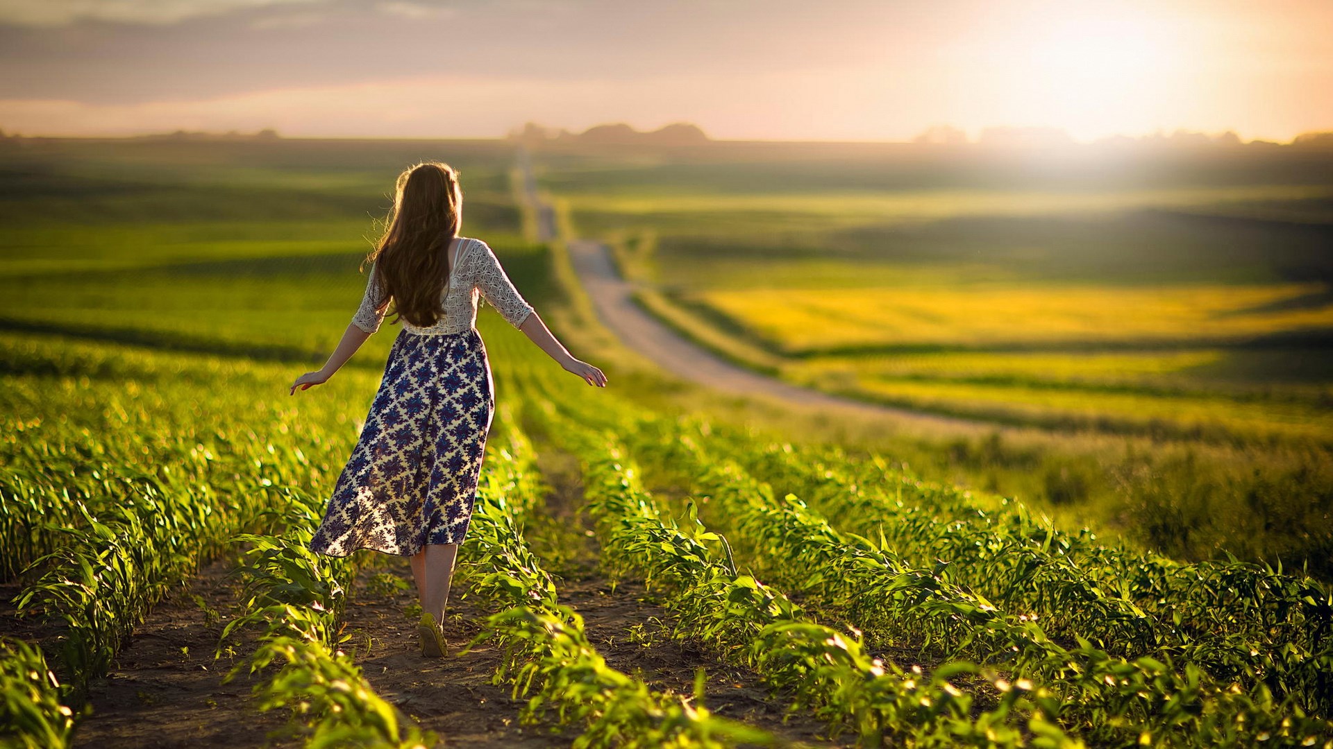 Woman walking through a field at sunset HD Wallpaper