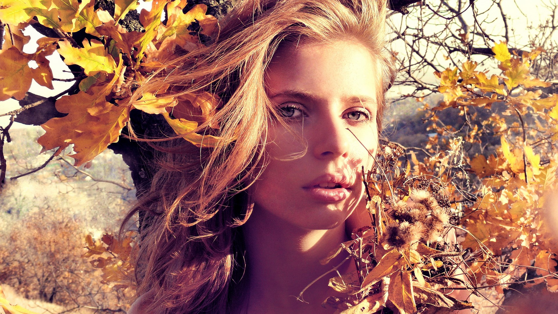 Woman with blonde hair among autumn leaves HD Wallpaper
