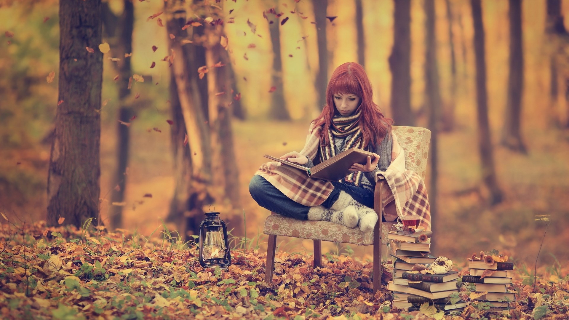 Woman reading a book in an autumn forest HD Wallpaper