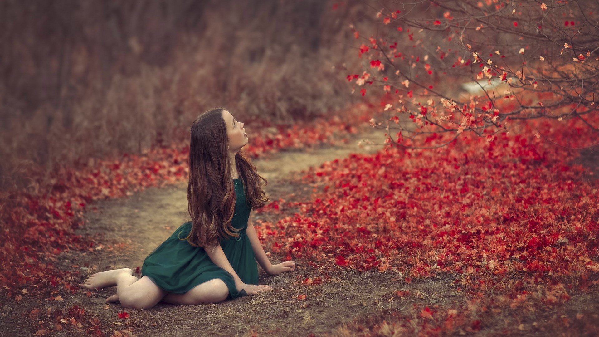Girl in green dress sitting on path with red leaves HD Wallpaper
