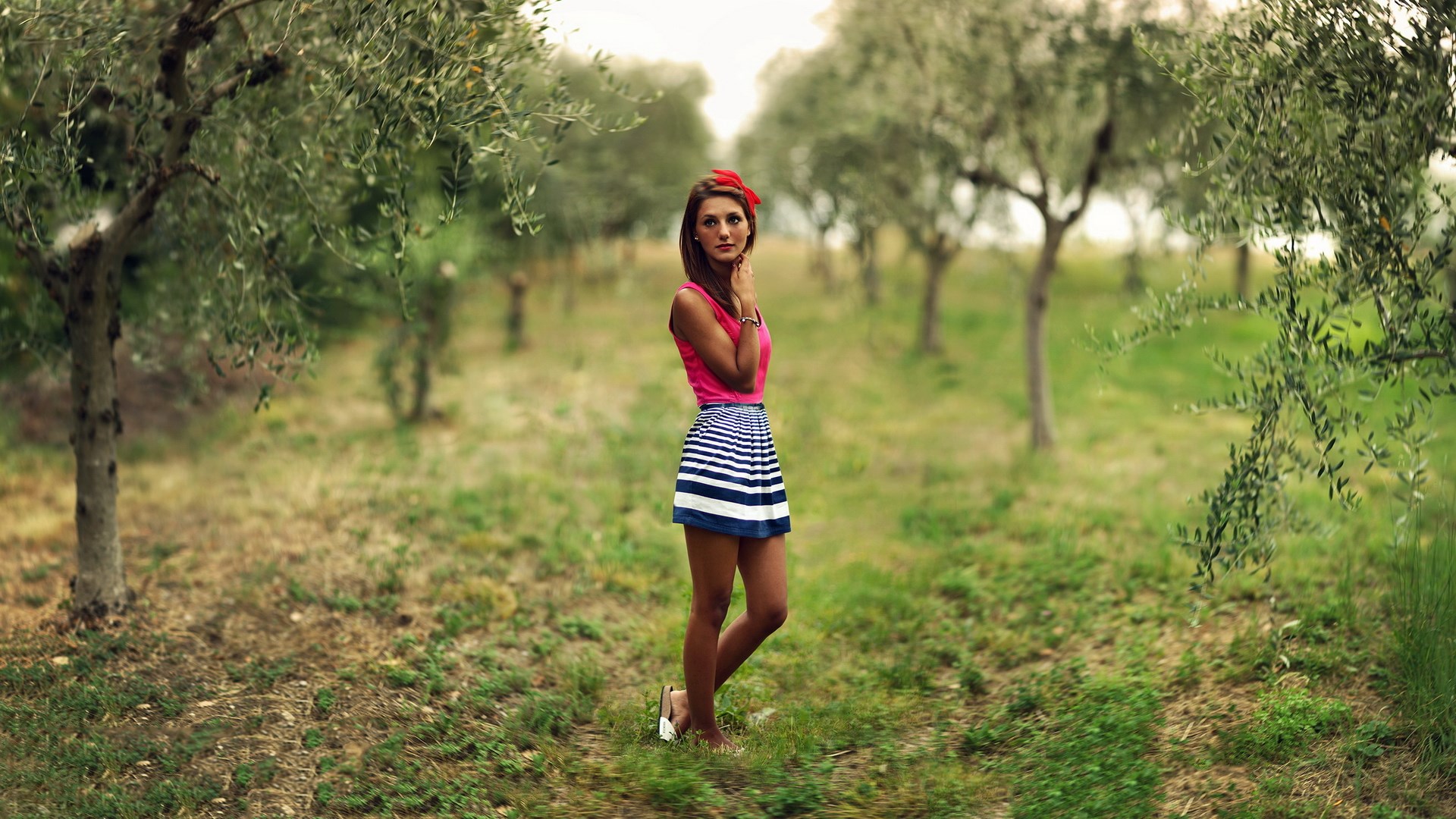 Woman in pink top and striped skirt in olive grove HD Wallpaper
