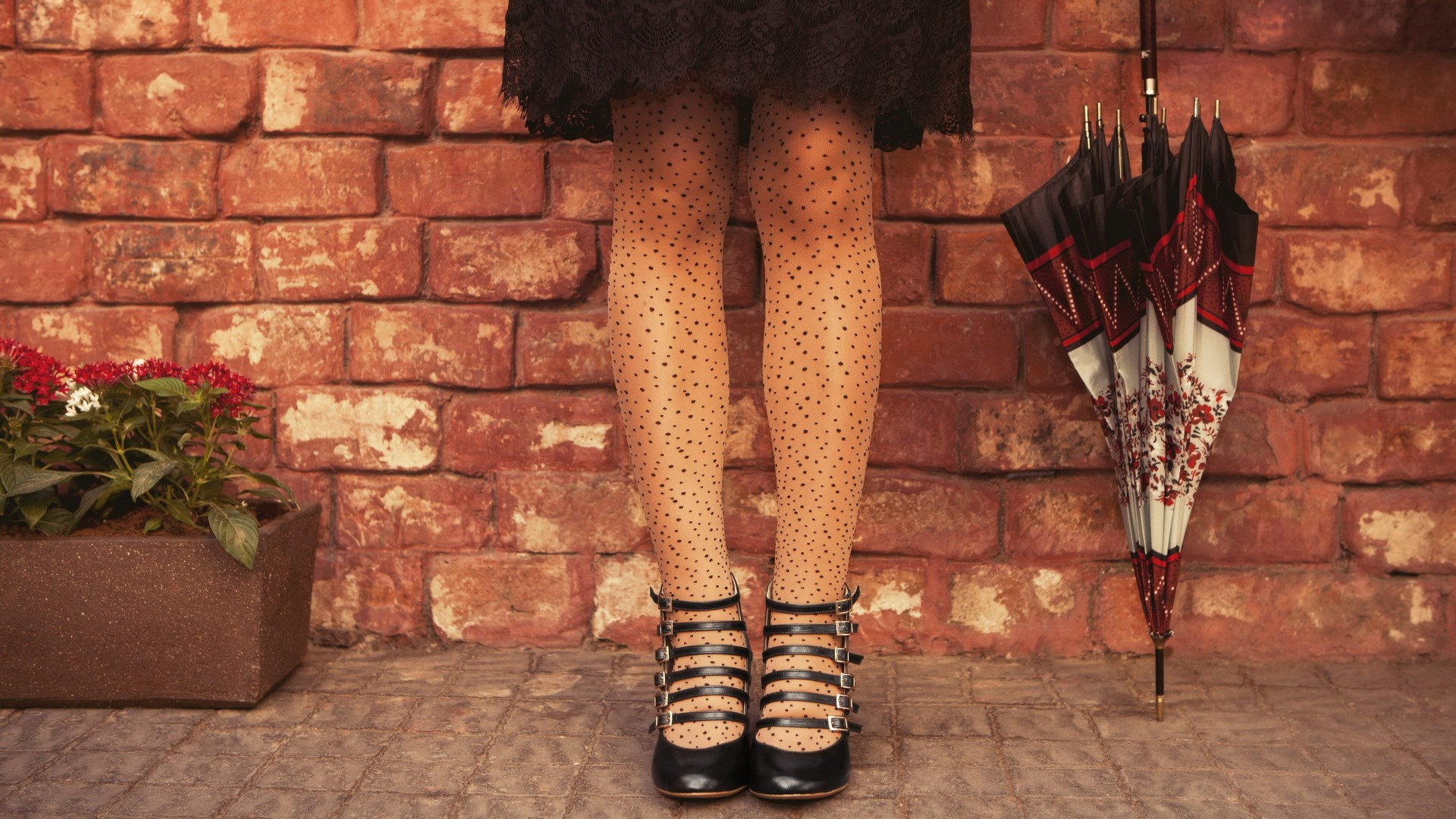 Woman in polka dot tights and buckle shoes with umbrella HD Wallpaper